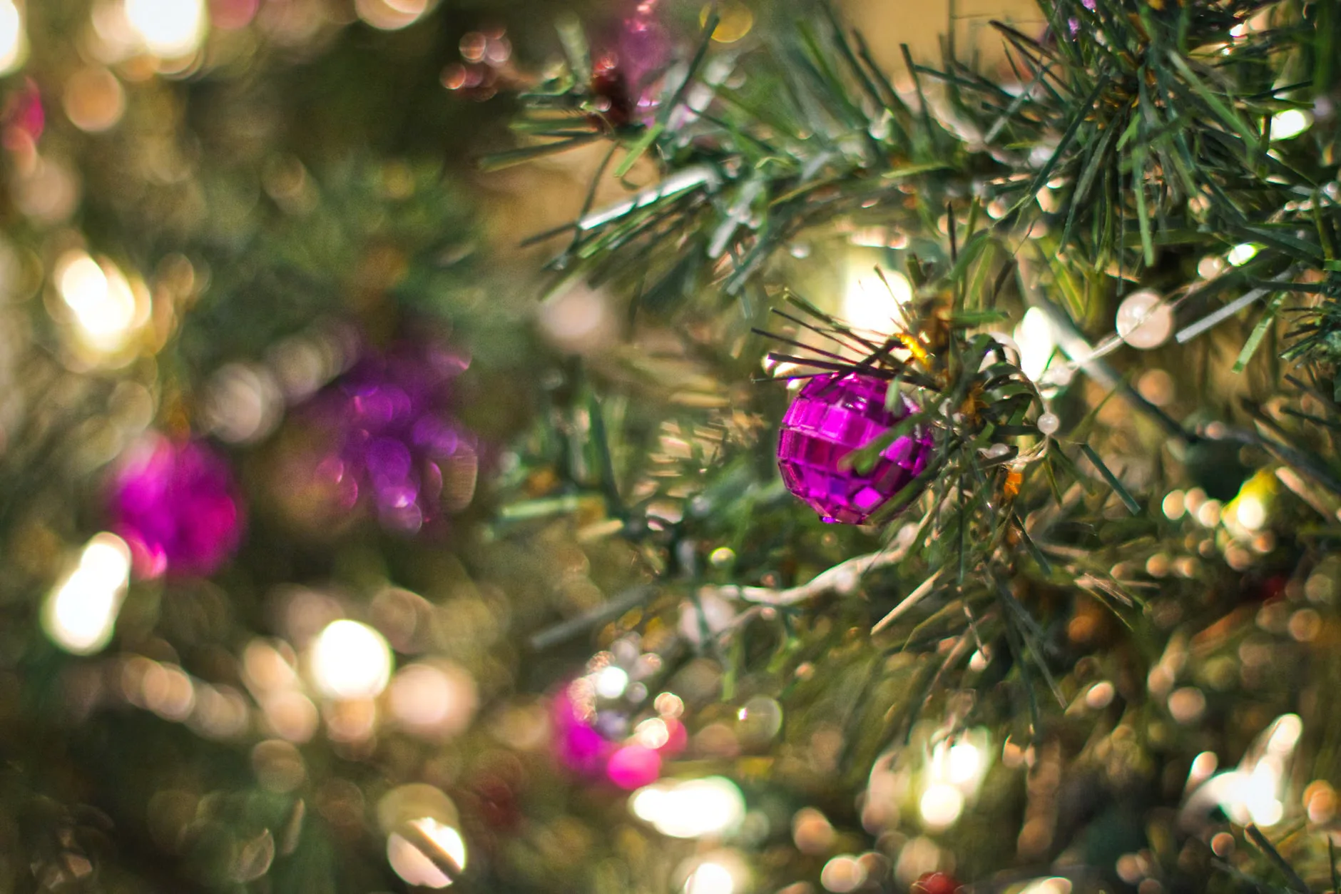 Christmas Party Night at Village Swindon at Village Hotel Swindon