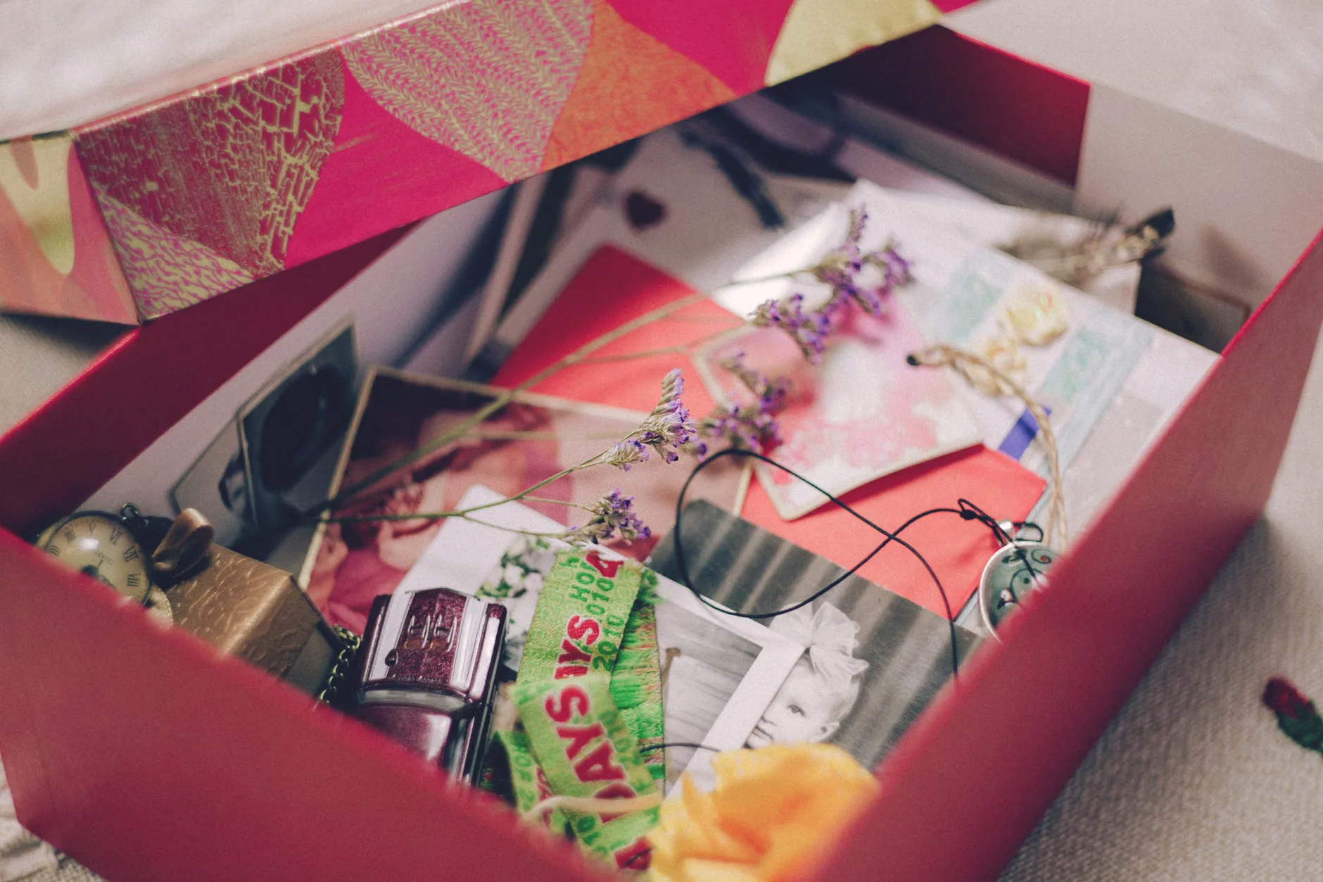 Shrek's Adventure - Standard Experience