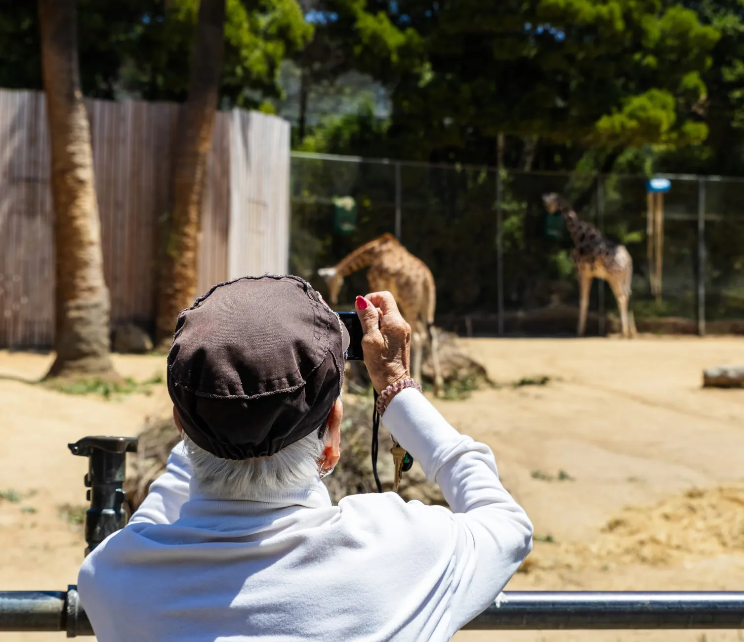 Exotic Animal Handling at The Really Wild Zoo at The Really Wild Zoo