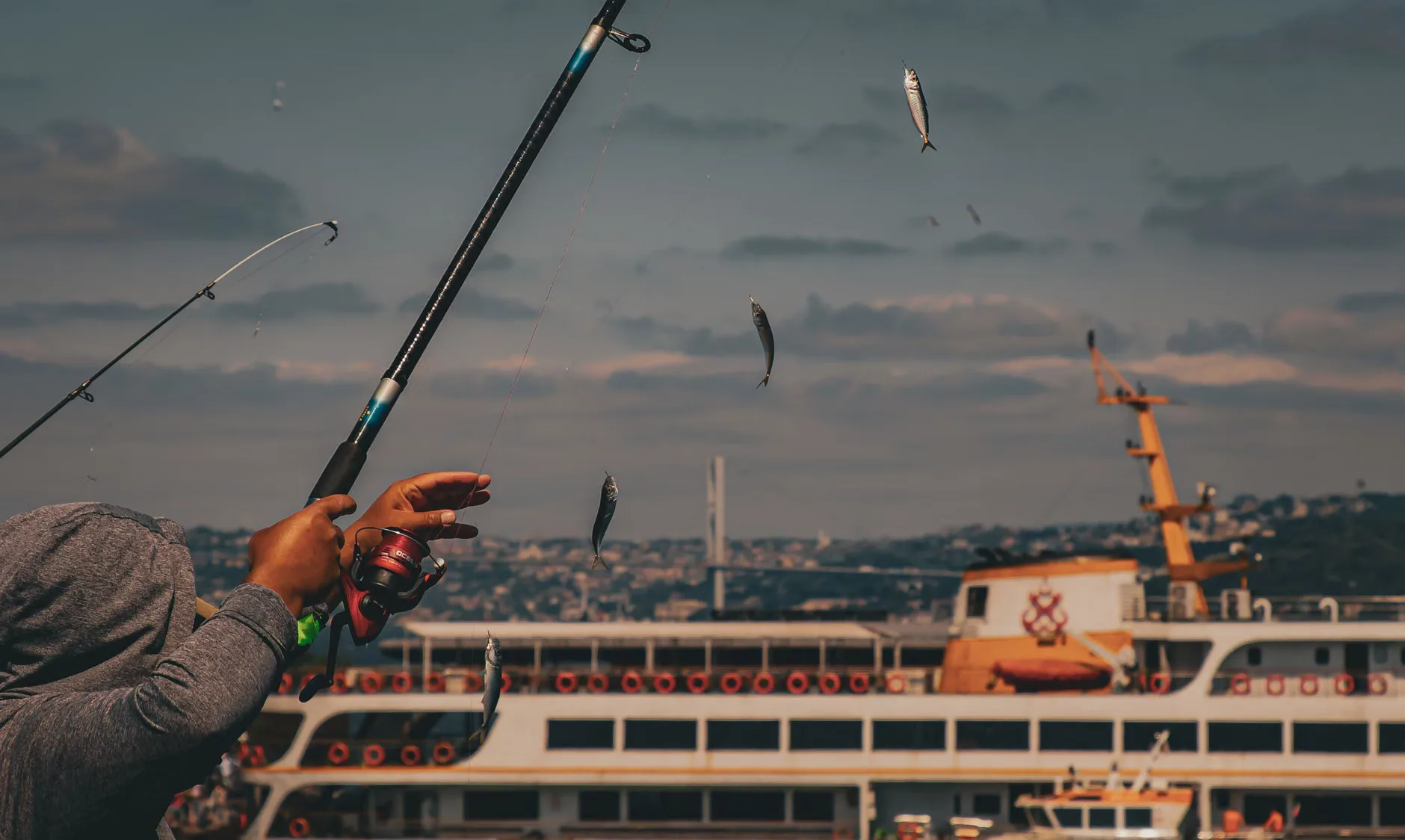 Free Junior Fishing Coaching | Highbridge Angling Association Juniors at Walrow Ponds