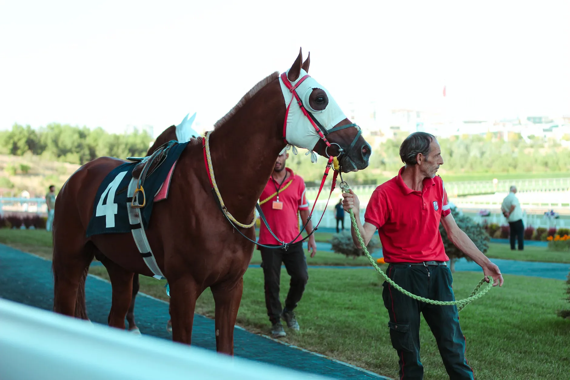 Autumn Evening Flat Racing - Southwell Racecourse at Southwell Racecourse