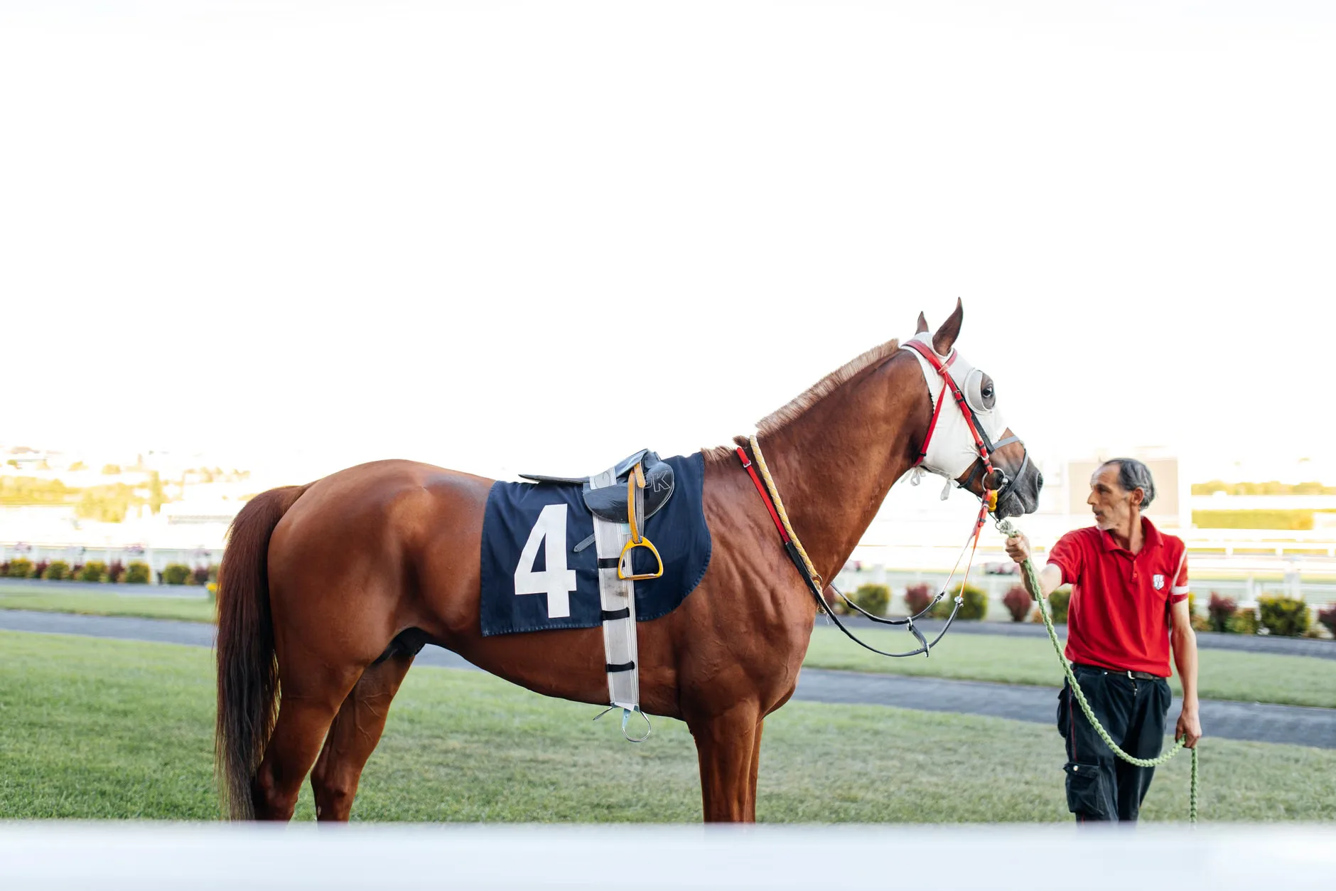 Season Finale Raceday - Royal Windsor Racecourse at Royal Windsor Racecourse