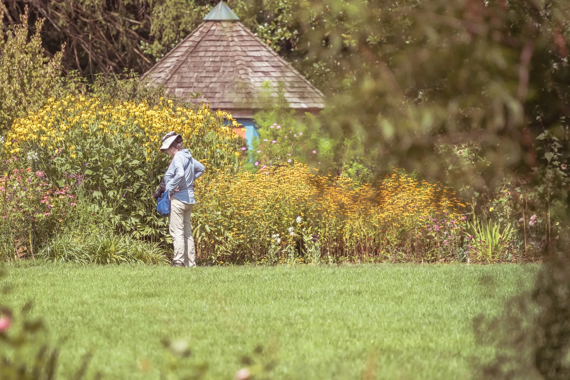 Community Festival walk: Garden Walk at Belton Estate