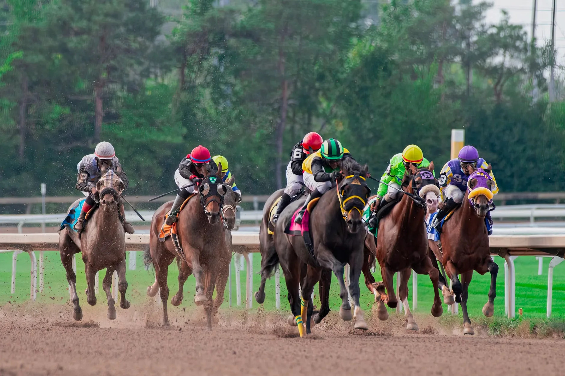 DragonBet Welsh Racing Festival Day 1 - Chepstow Racecourse at Chepstow Racecourse