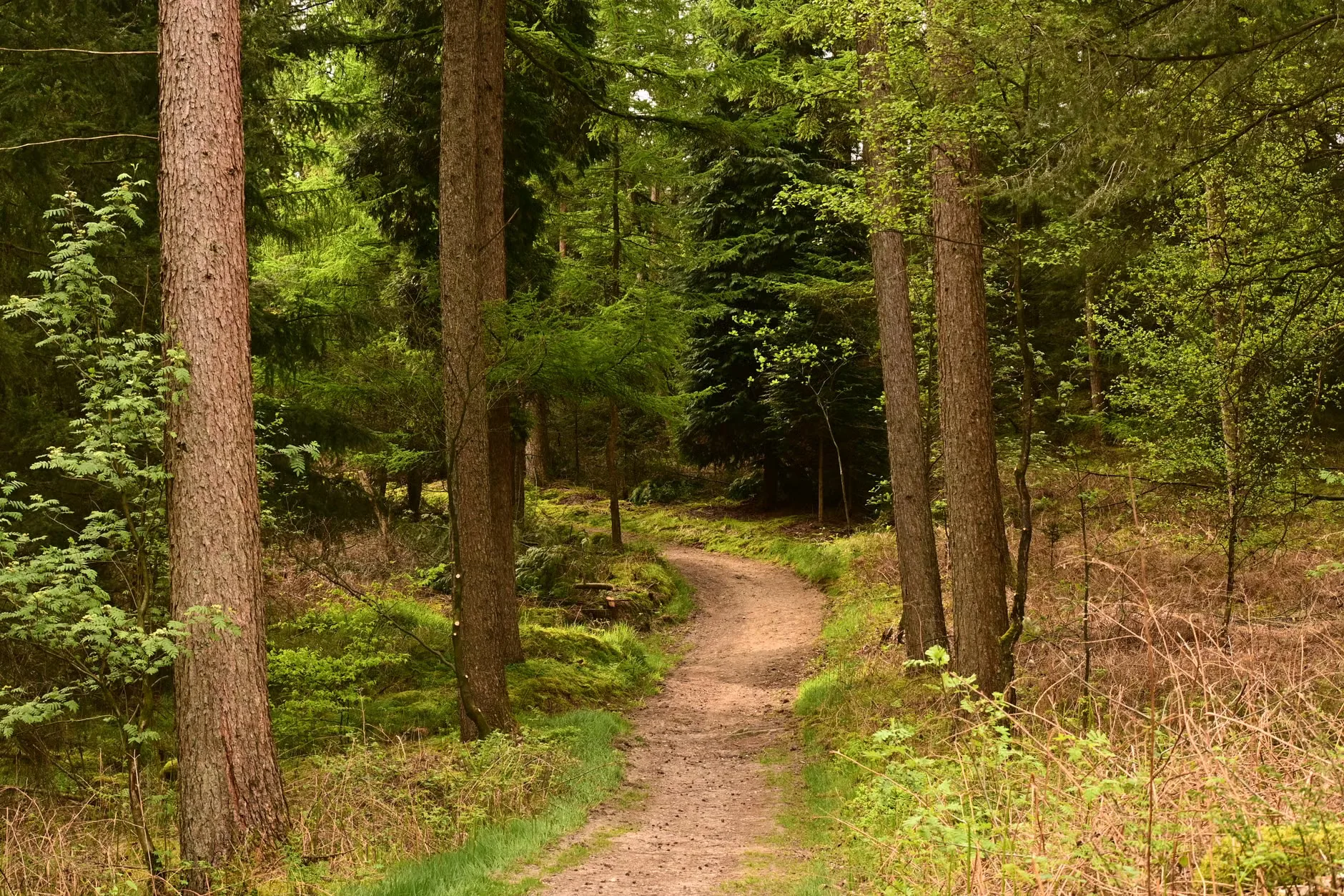 Summer Family Fun Days at Iver Environment Centre