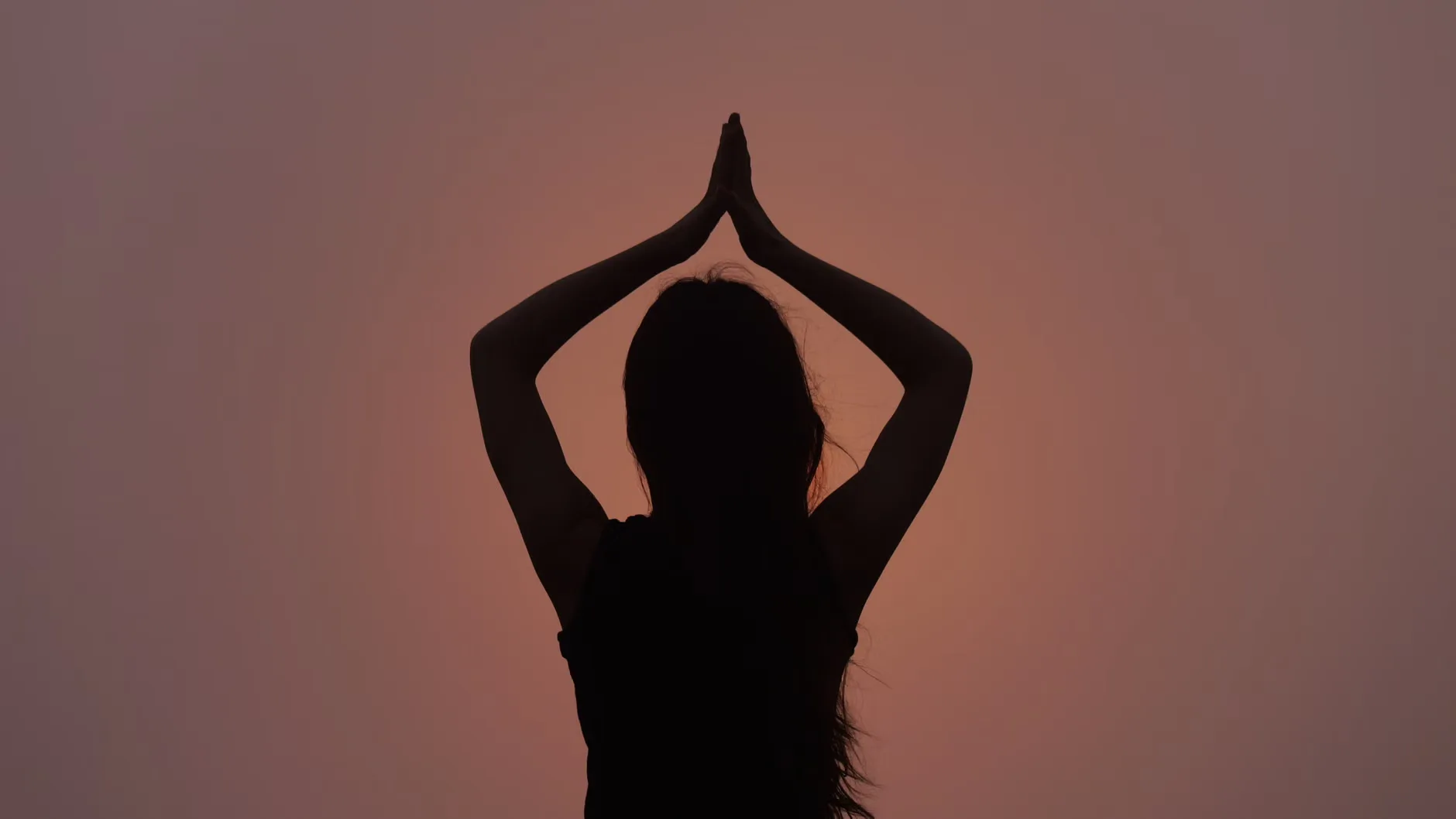 Half-day Forest Bathing and Yoga in Brighton's Woodlands