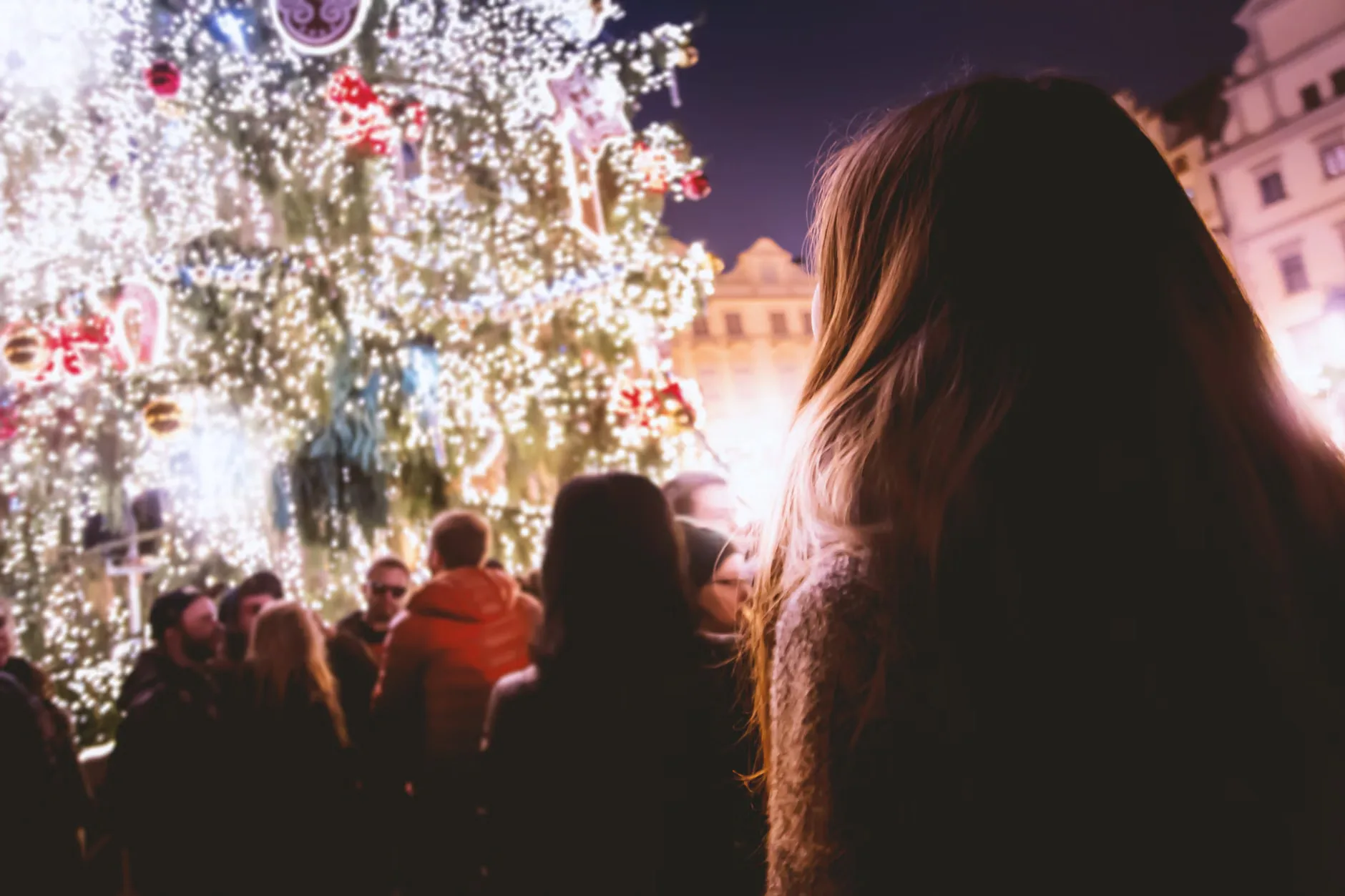 Celebrate Christmas at Haydock at Haydock Park