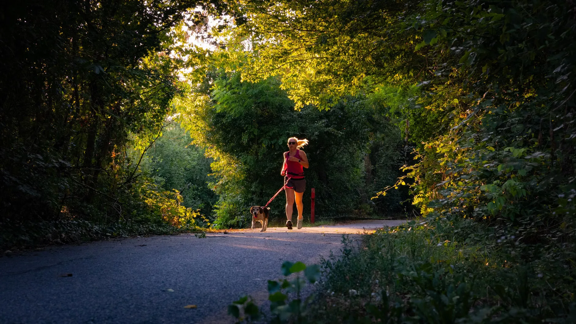 Sporting Paws Fall Flash Dash at Pennington Flash Country Park