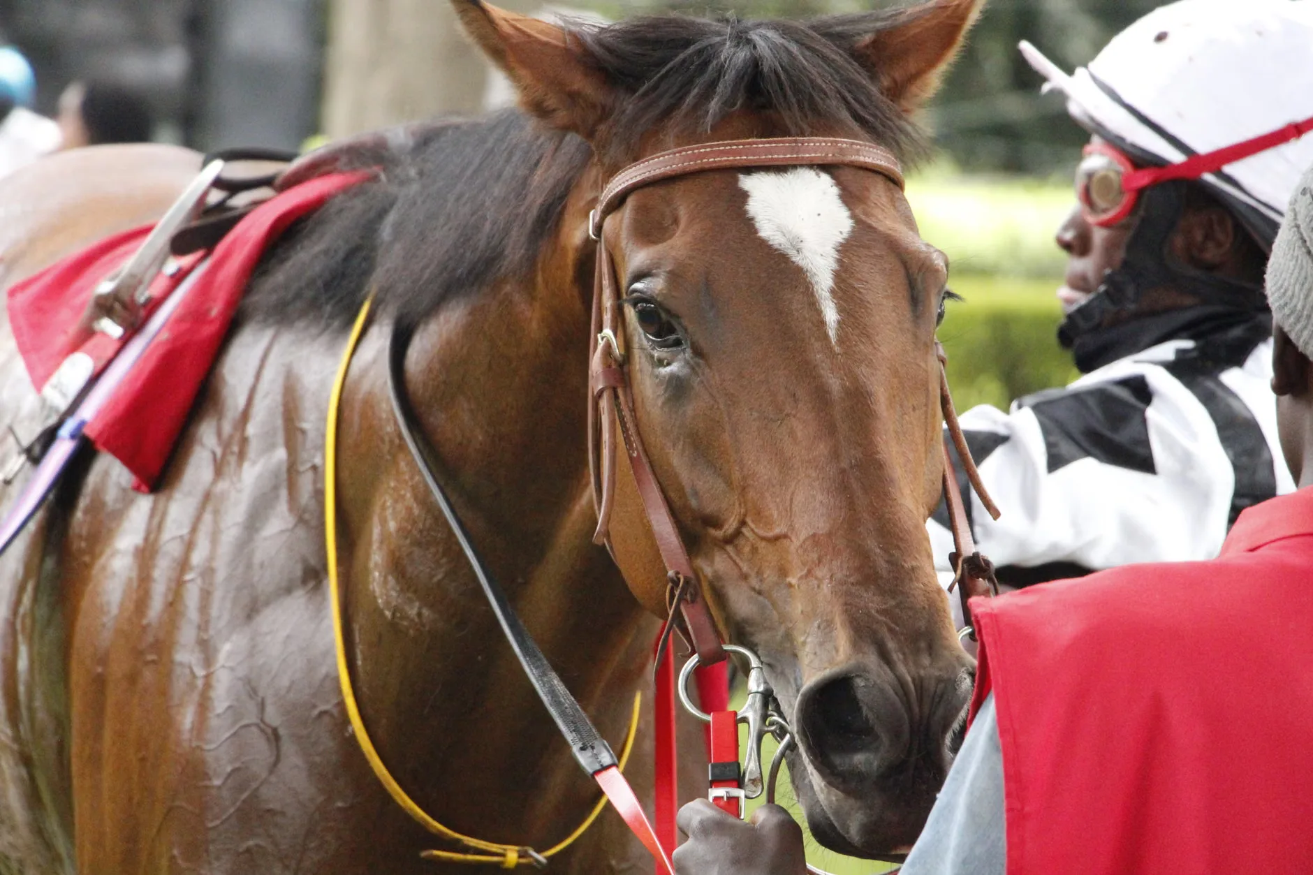 September Racing Weekend - Saturday - Ascot Racecourse at Ascot Racecourse