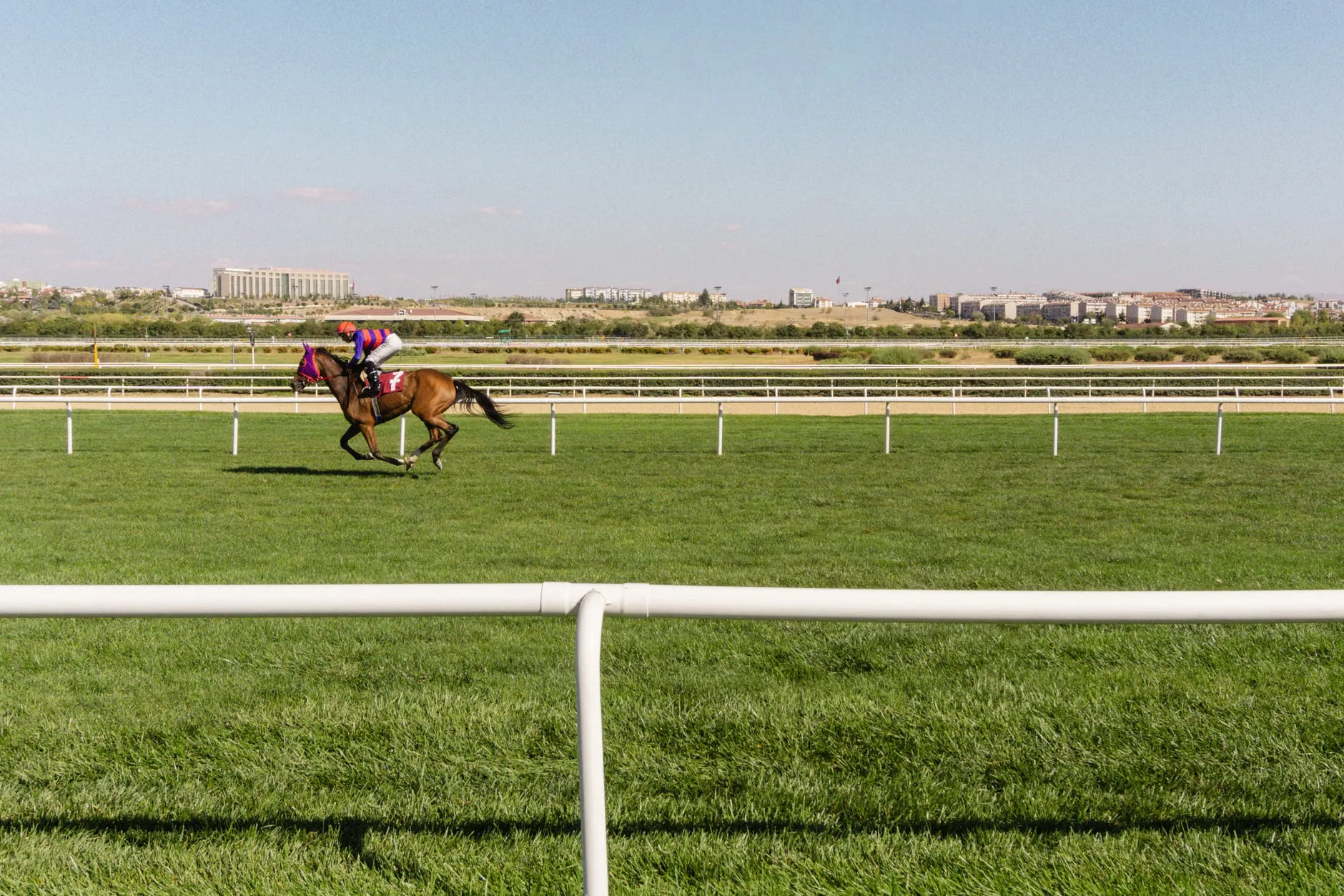 Seasonal Afternoon Racing - Lingfield Park Racecourse at Lingfield Park Racecourse