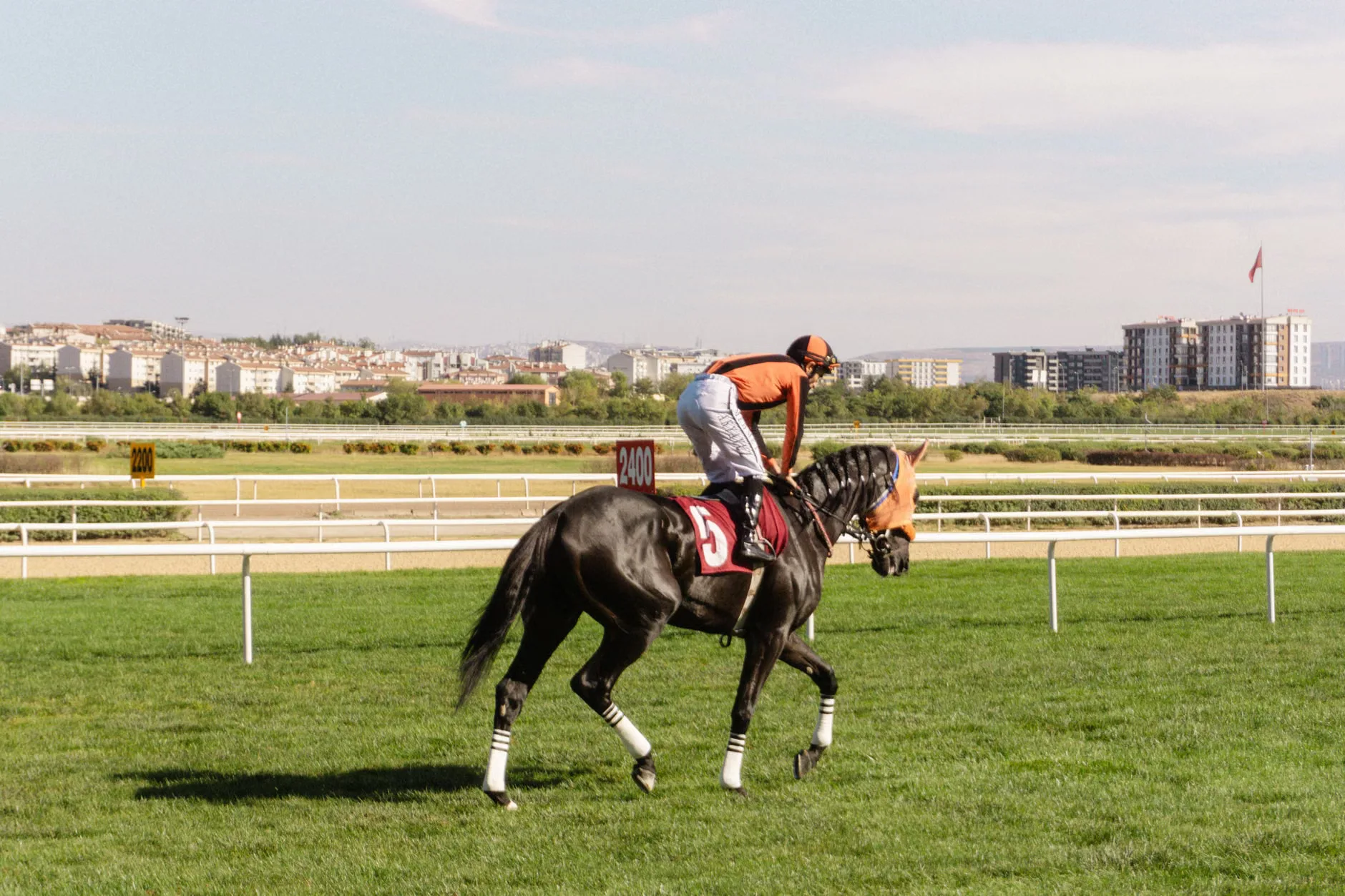 Summer Evening Flat Racing - Southwell Racecourse at Southwell Racecourse