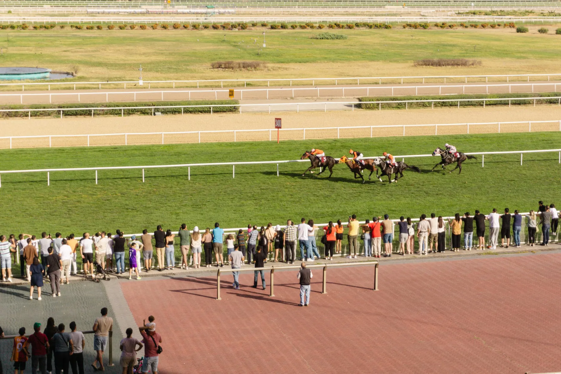 Autumn Floodlit Racing - Newcastle Racecourse at Newcastle Racecourse