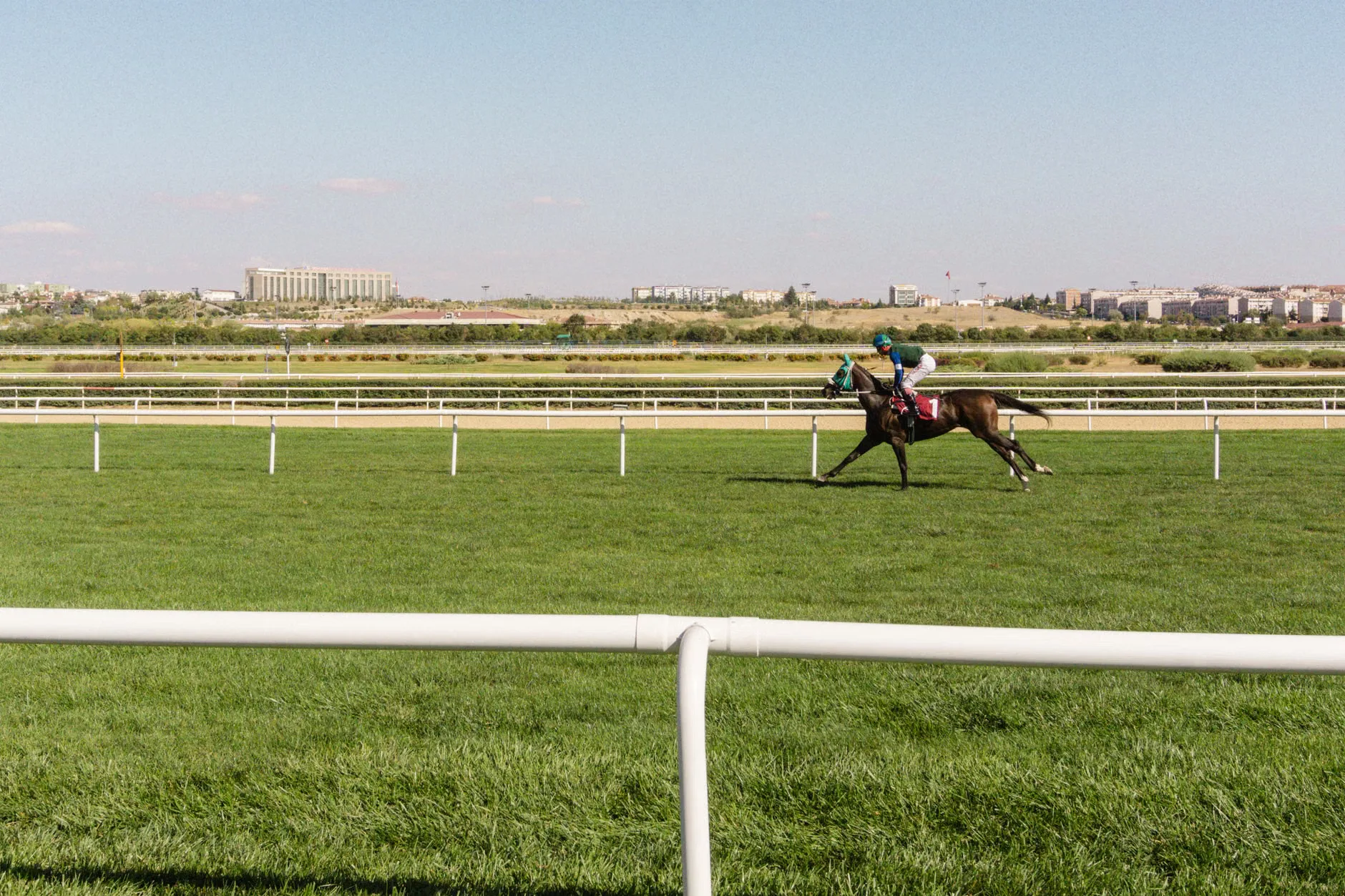 Afternoon Jump Racing - Newcastle Racecourse at Newcastle Racecourse