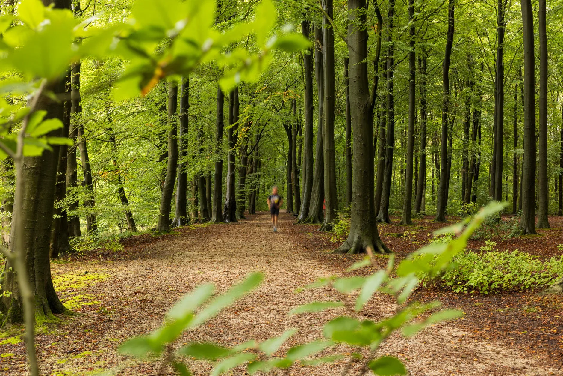 Women Can Marathon at Exmouth