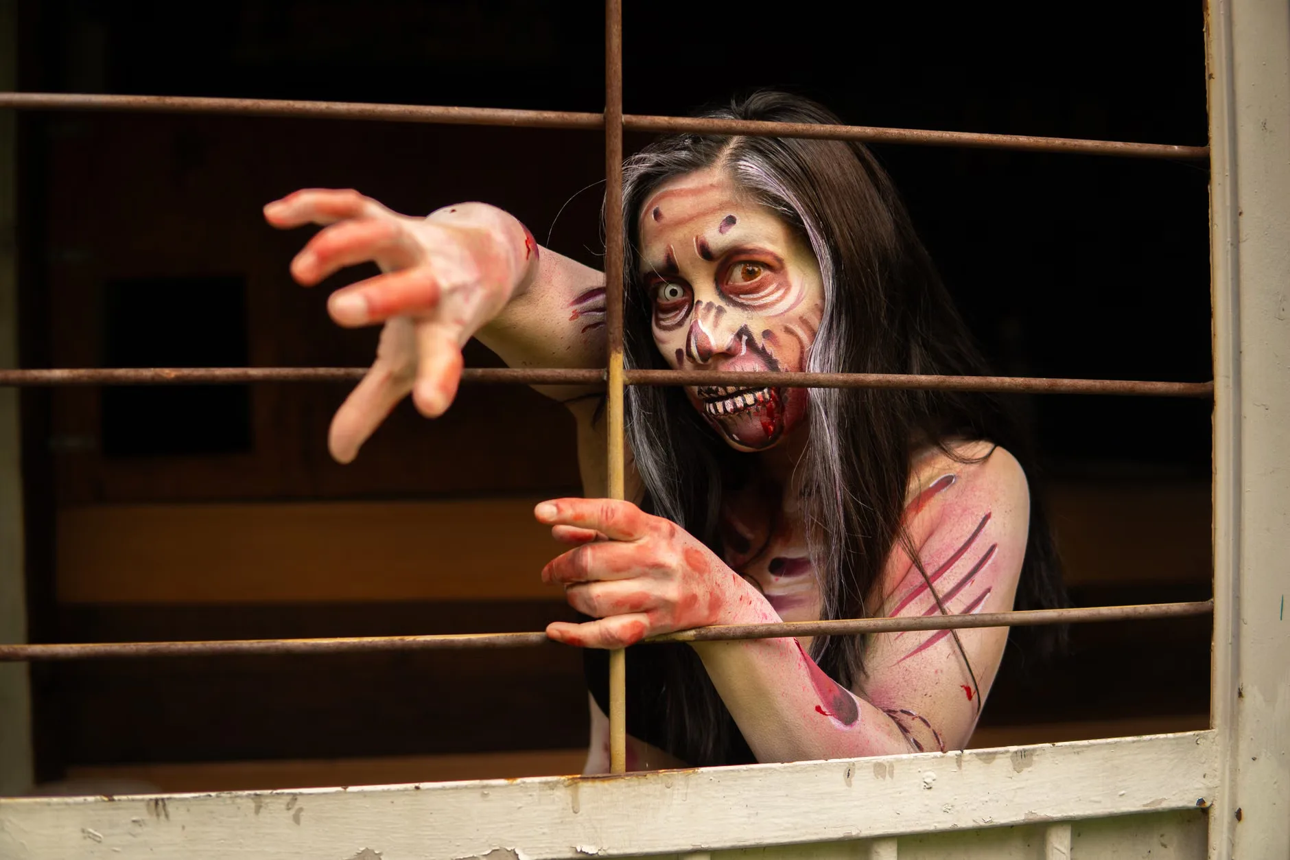 London Dungeon - Standard Entry