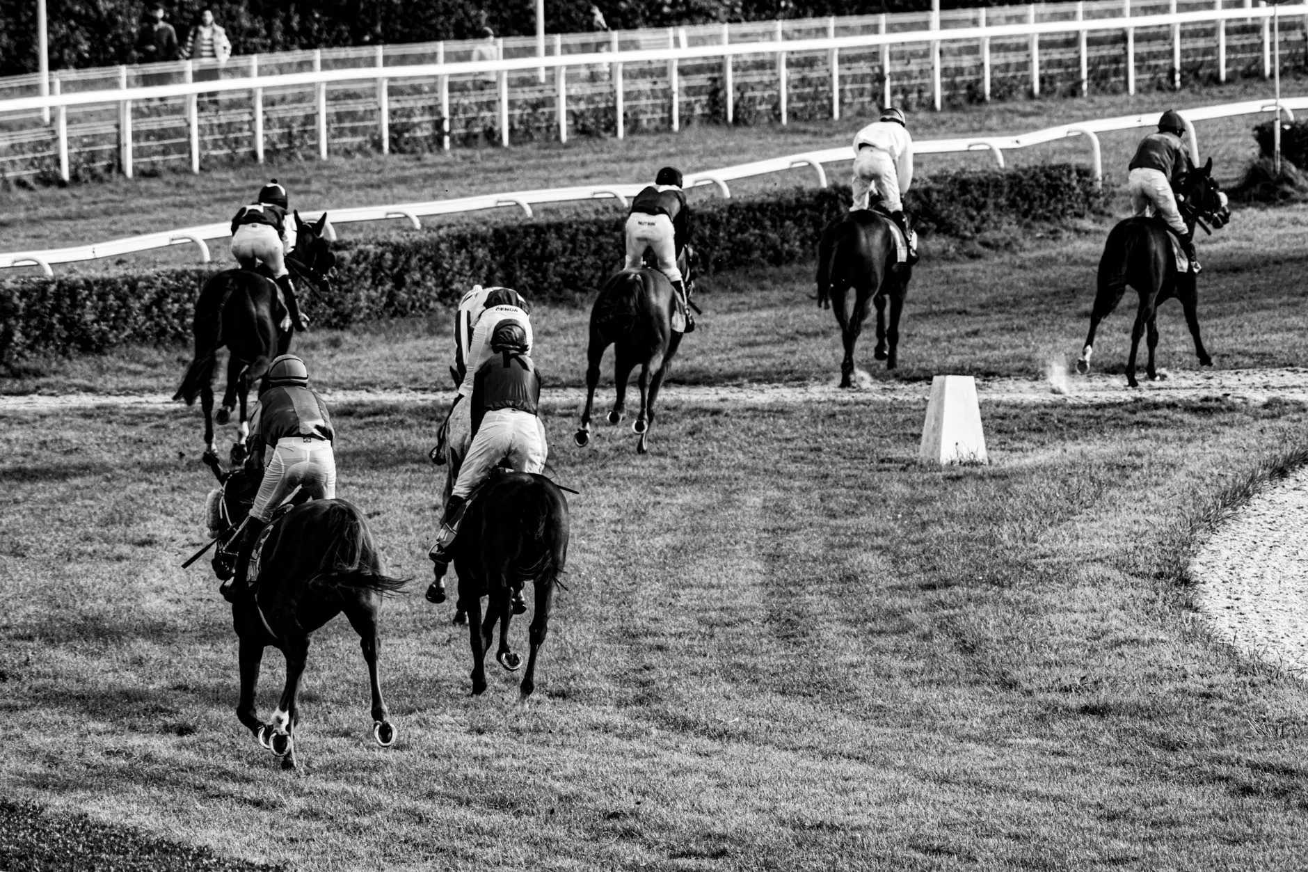 Countryside Raceday - Bath Racecourse at Bath Racecourse