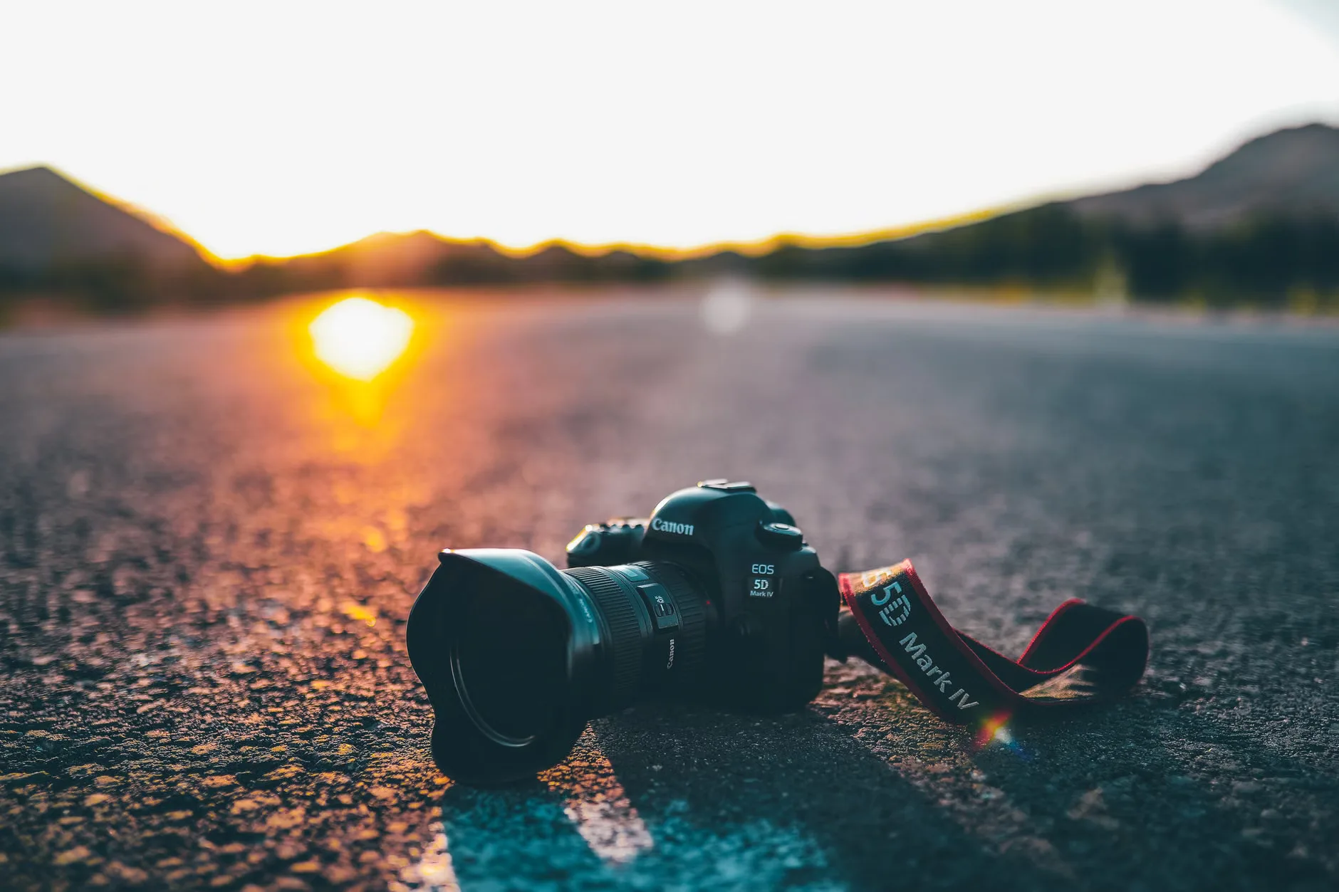 Full-day Landscape & Close-up Photography Workshops with Phil Morley at Sutton Hoo
