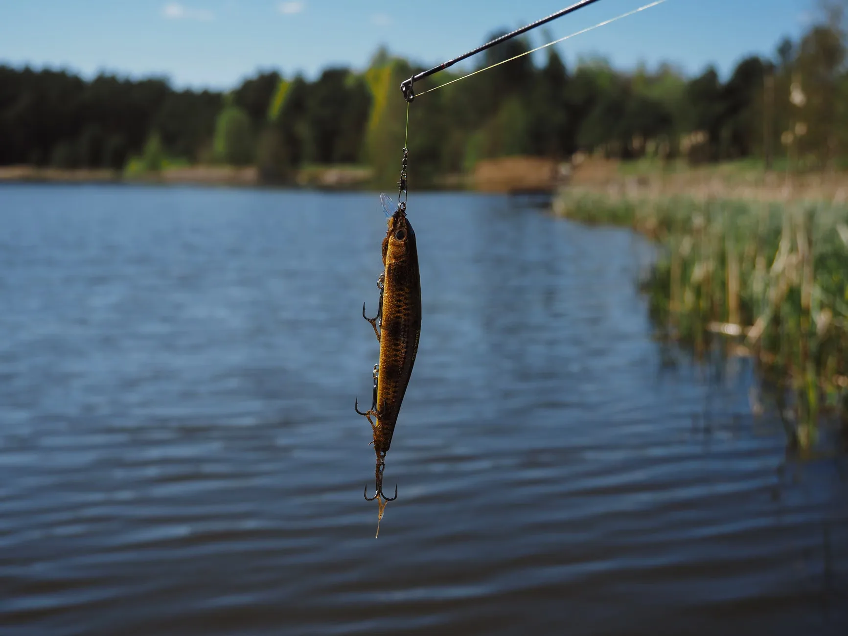 CALPAC Get Fishing Event at Stew Pond Epsom Common
