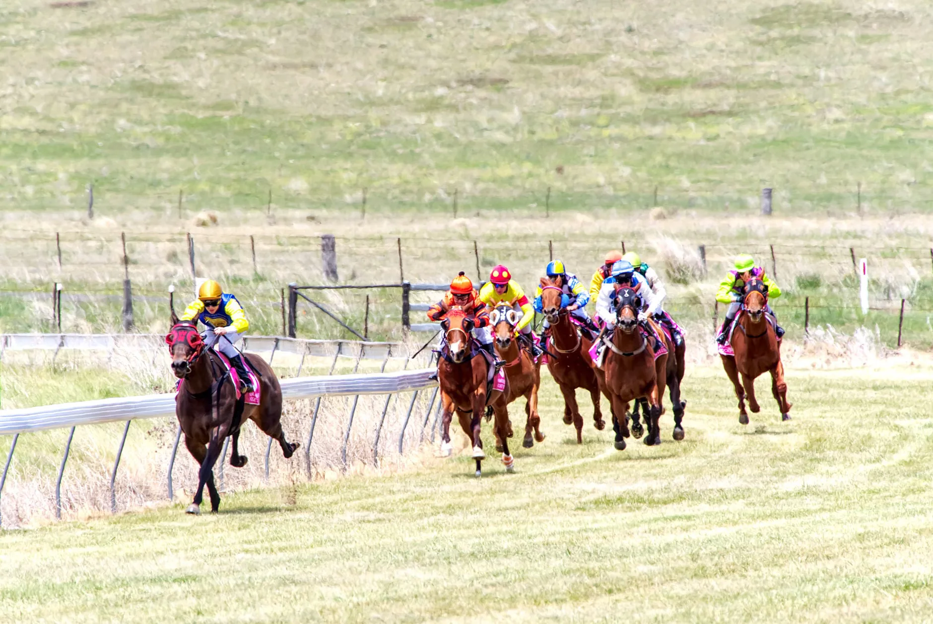 Summer Afternoon Racing - Lingfield Park Racecourse at Lingfield Park Racecourse