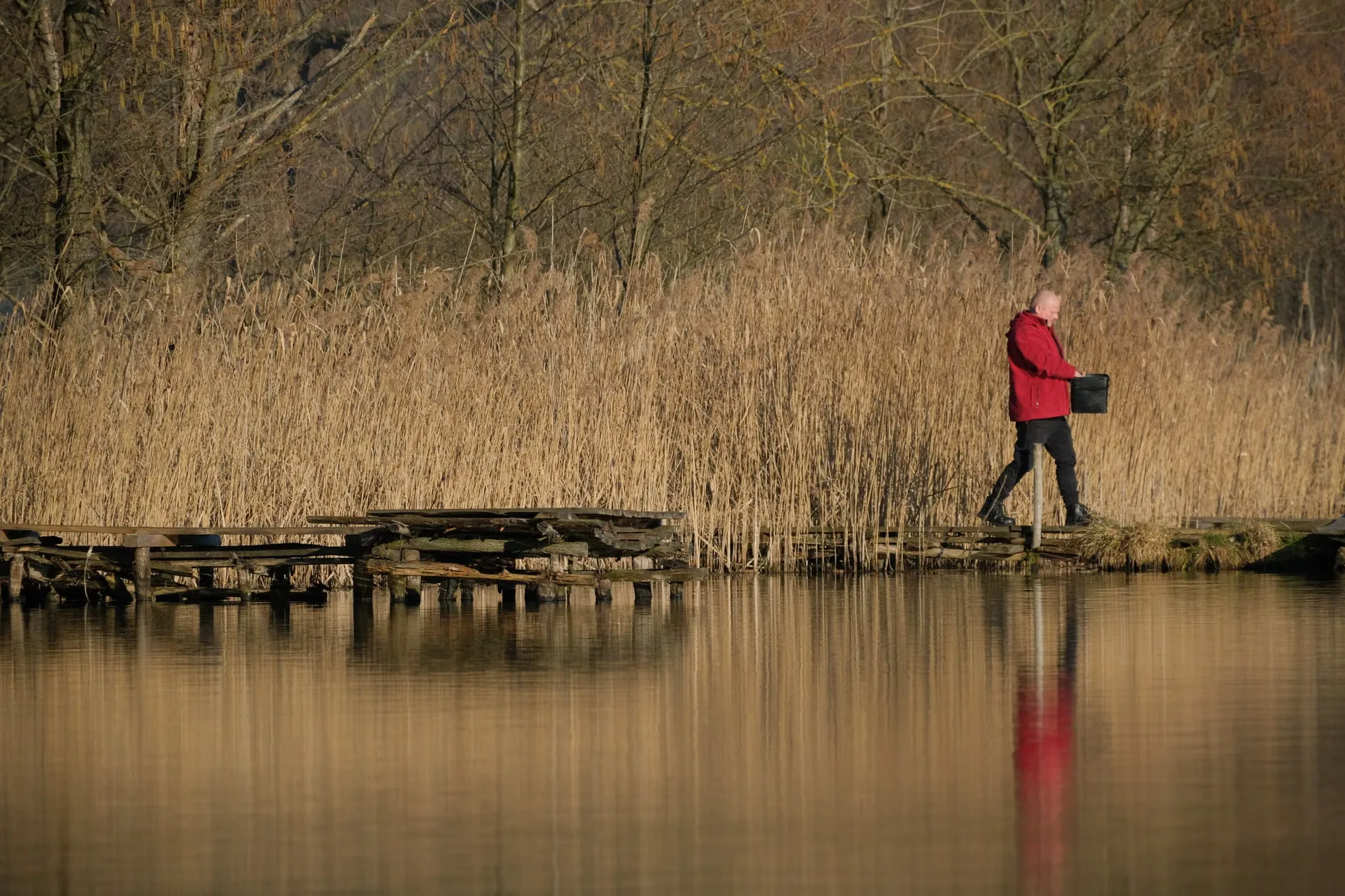 Nature Walk with the Hatchlands Park ranger team at Hatchlands Park