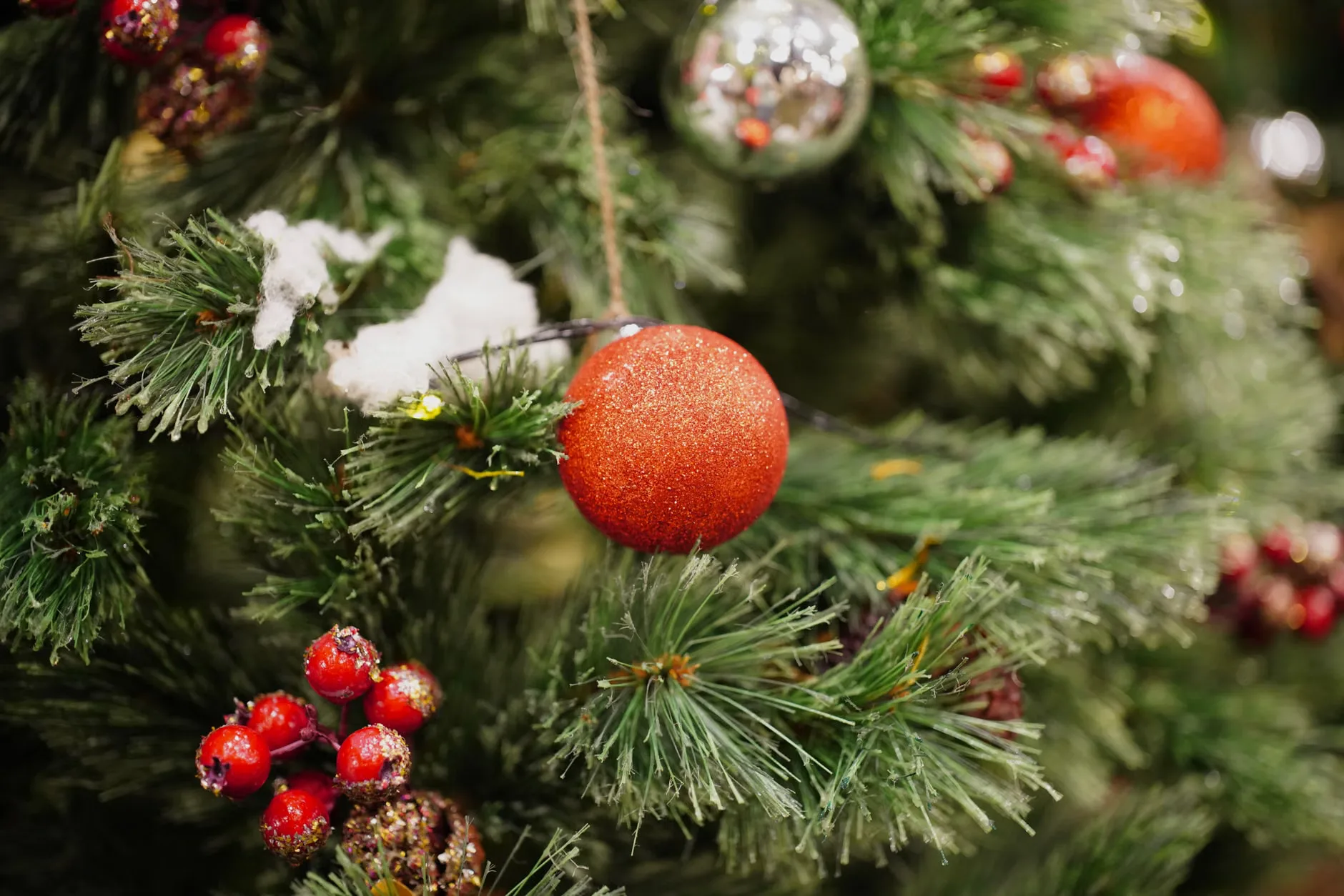 Lyndhurst Holiday Show at Lyndhurst Community Centre