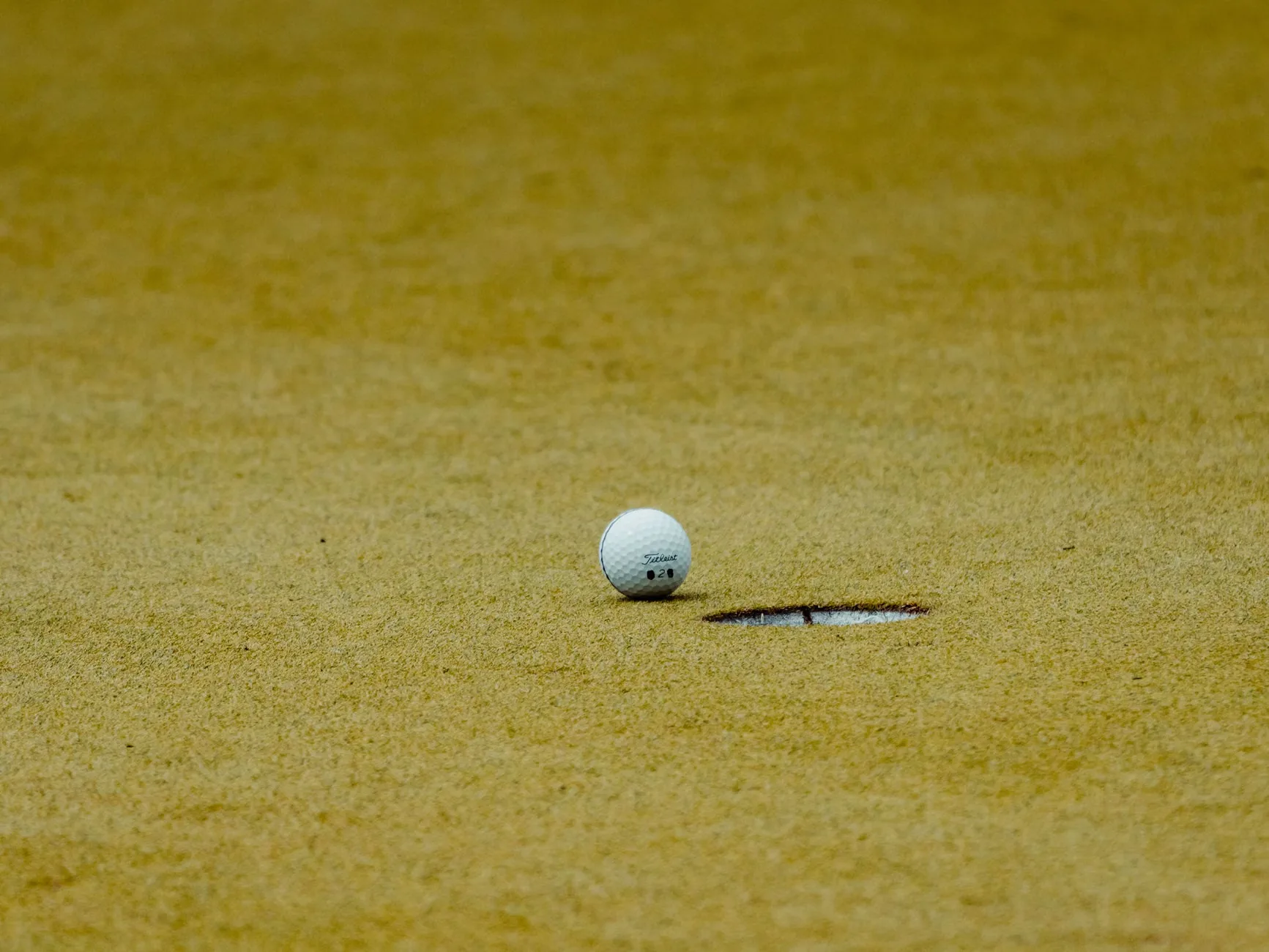 Mini golf singles parties