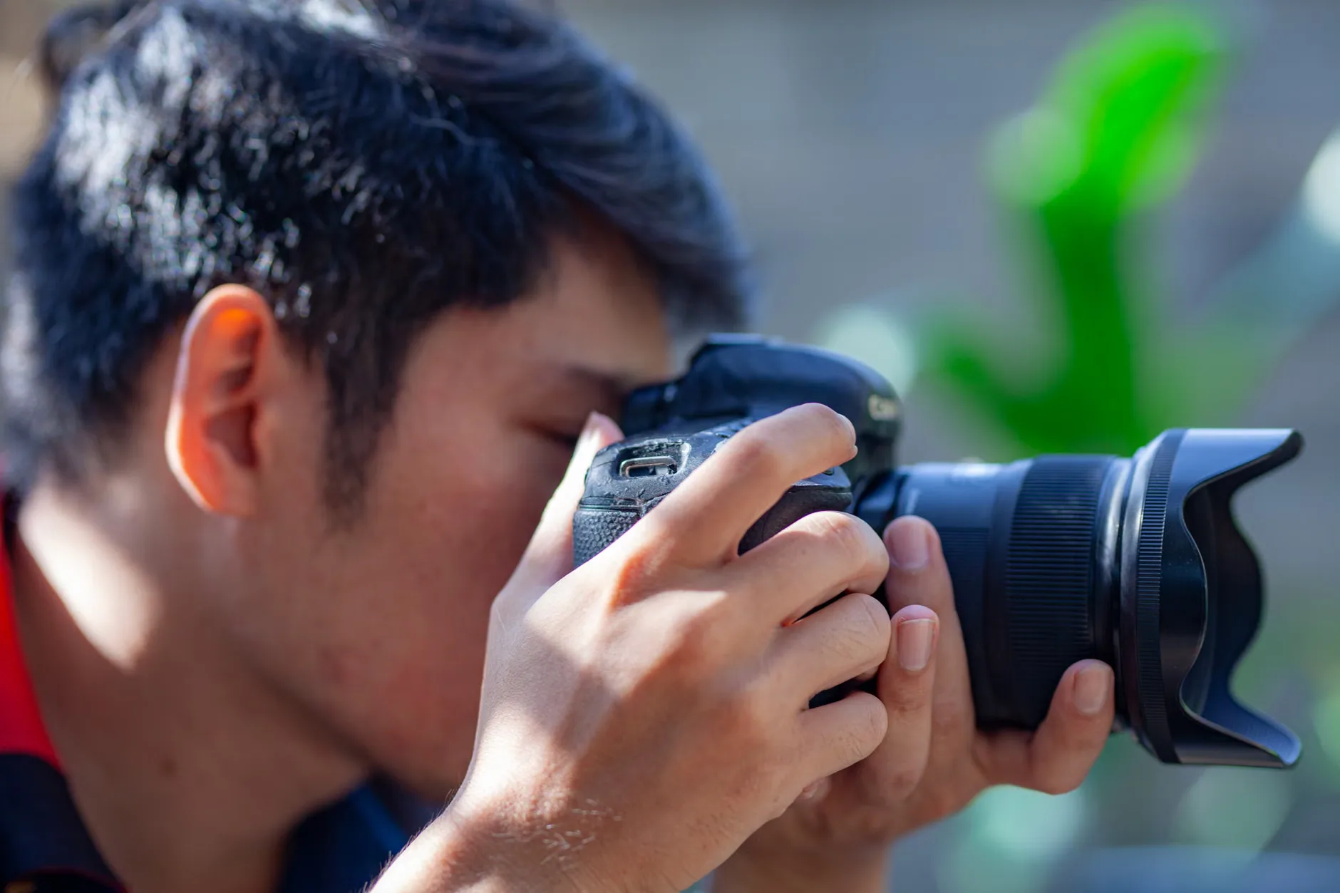 Dog Photography Sessions - The Backyard Photography Company at Rowallane Garden