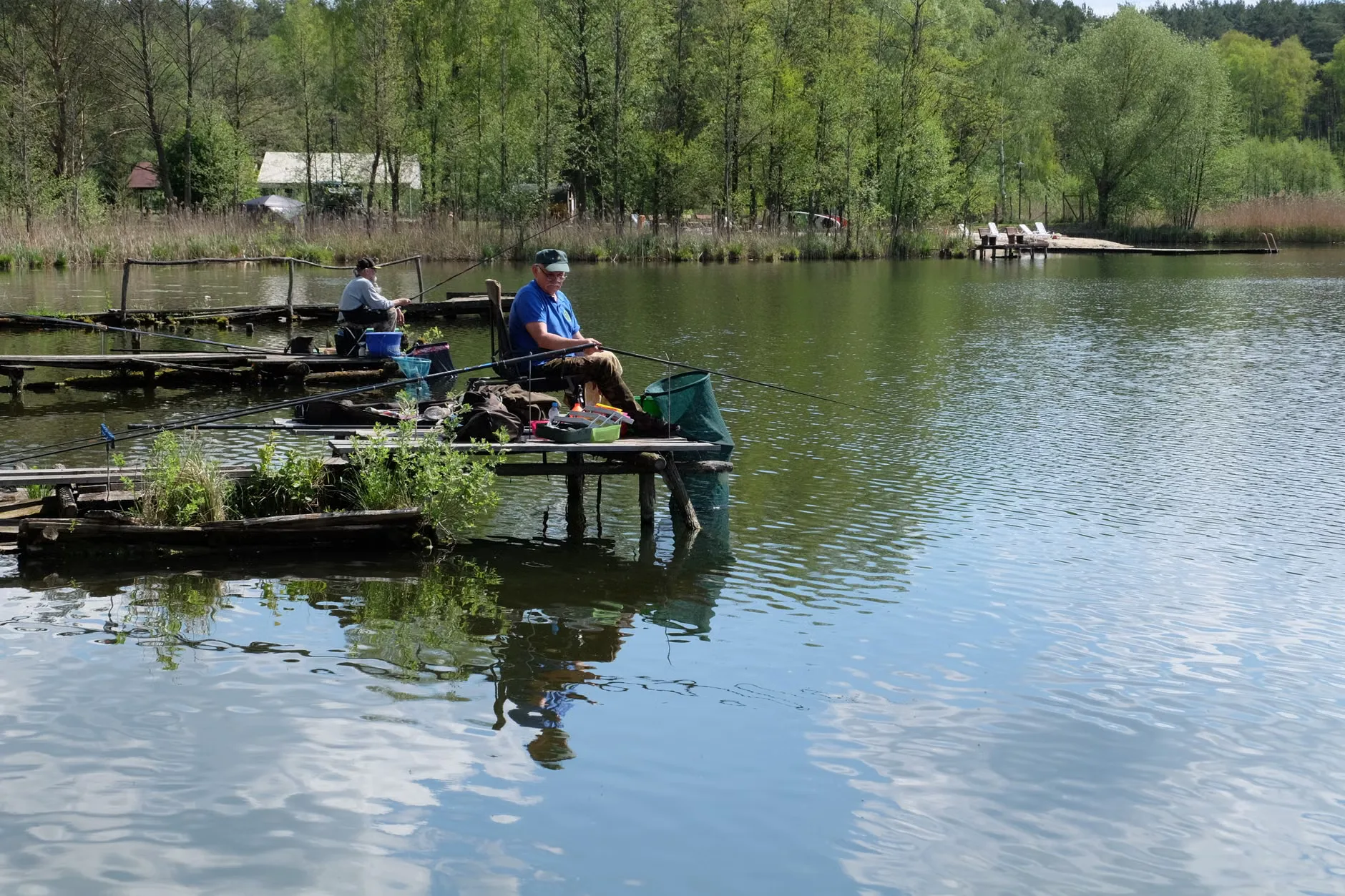 Free Junior Fishing Coaching | Highbridge Angling Association Juniors at Walrow Ponds