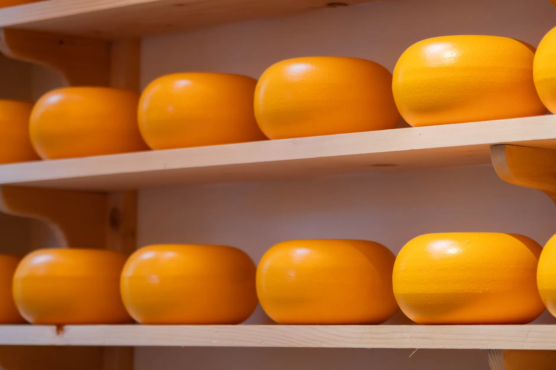 Cheese & Wine Experience at Kenrick's Wines Sydenham