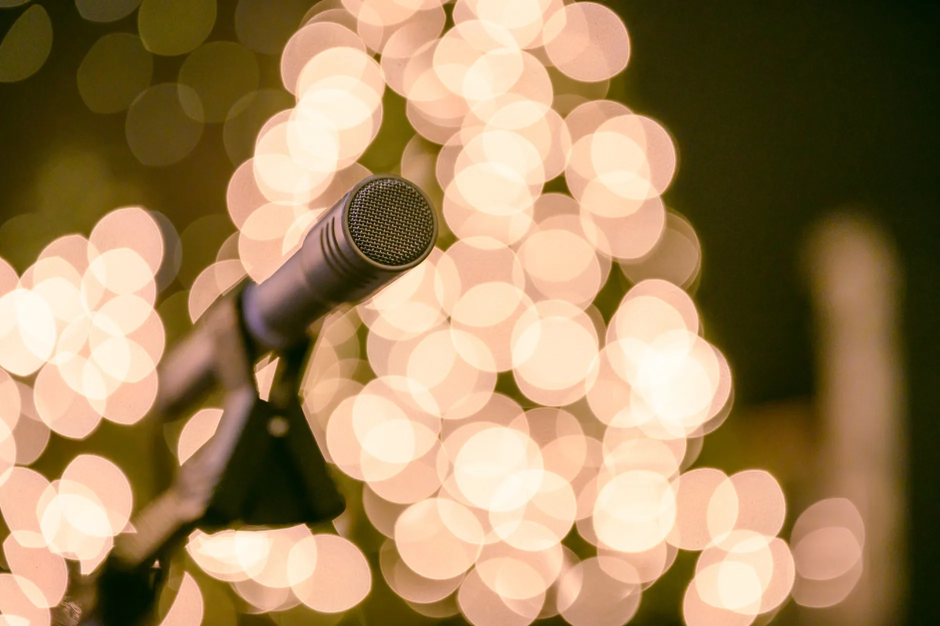 Festival of Words: Open Mic at Darlington Library