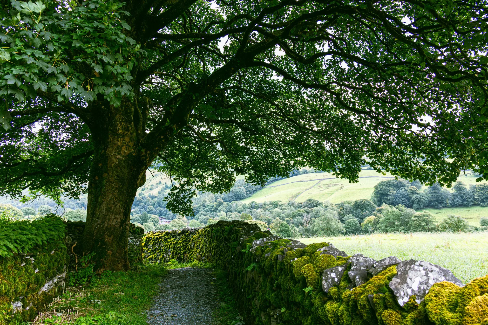 Wild wonders: a ranger ramble at Gibside