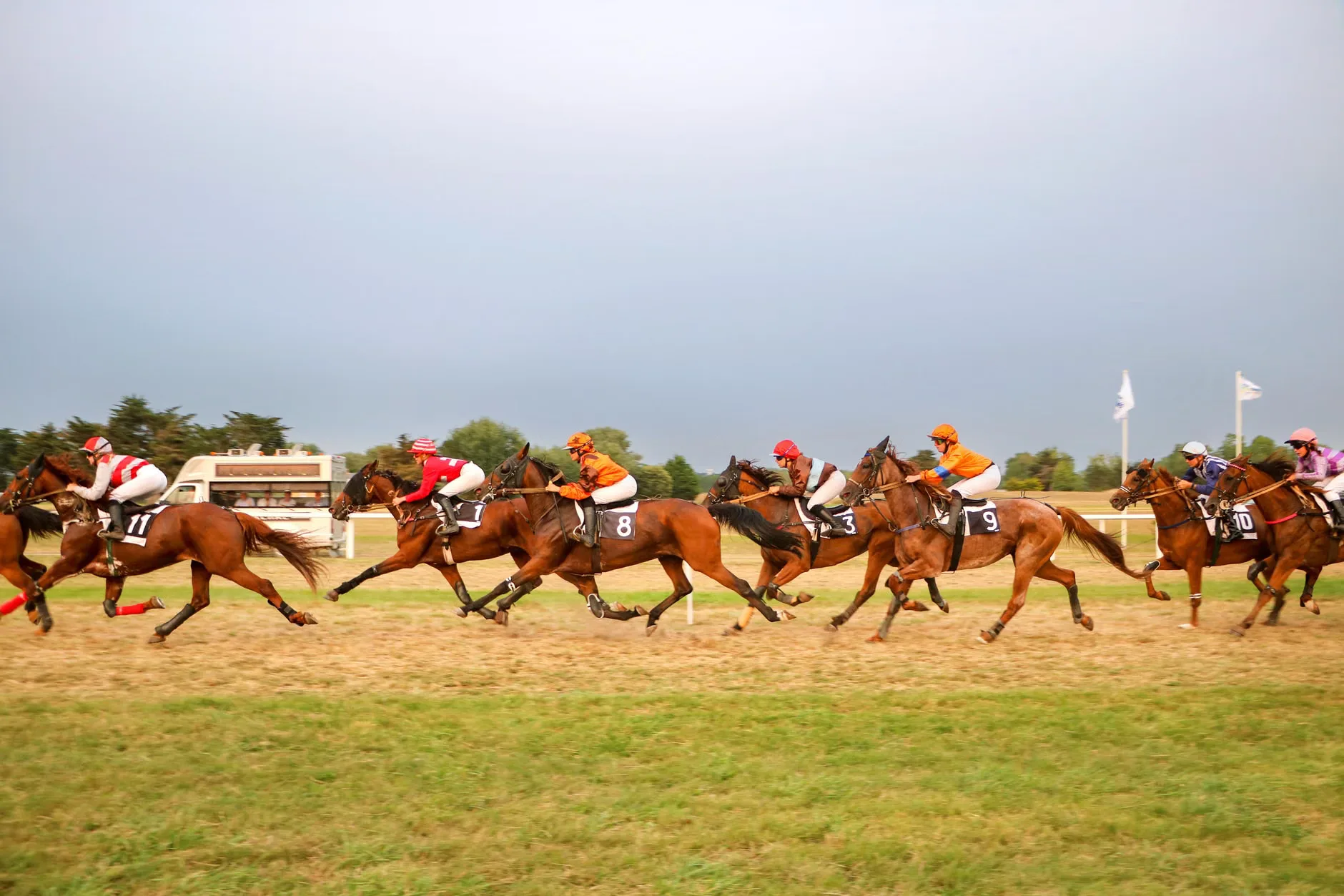 Autumn Floodlit Racing - Newcastle Racecourse at Newcastle Racecourse