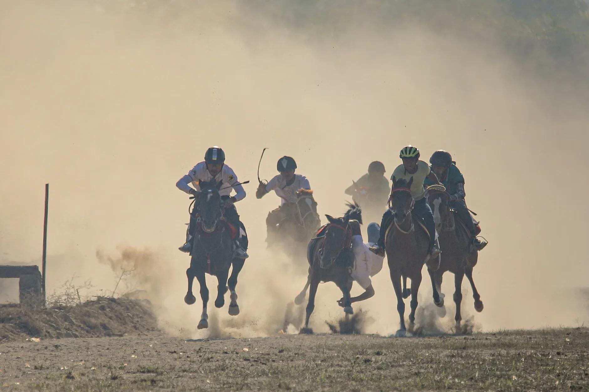 Autumn Afternoon Racing - Worcester Racecourse at Worcester Racecourse