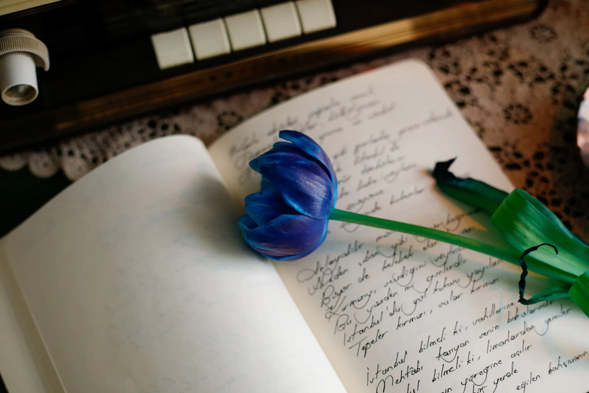 Poetry Mondays -The Sea and The Mirror- at Jamboree