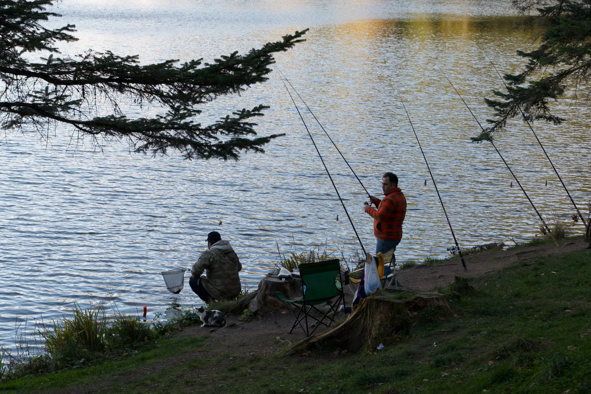 Get Fishing Norwich at Shallowbrook lakes