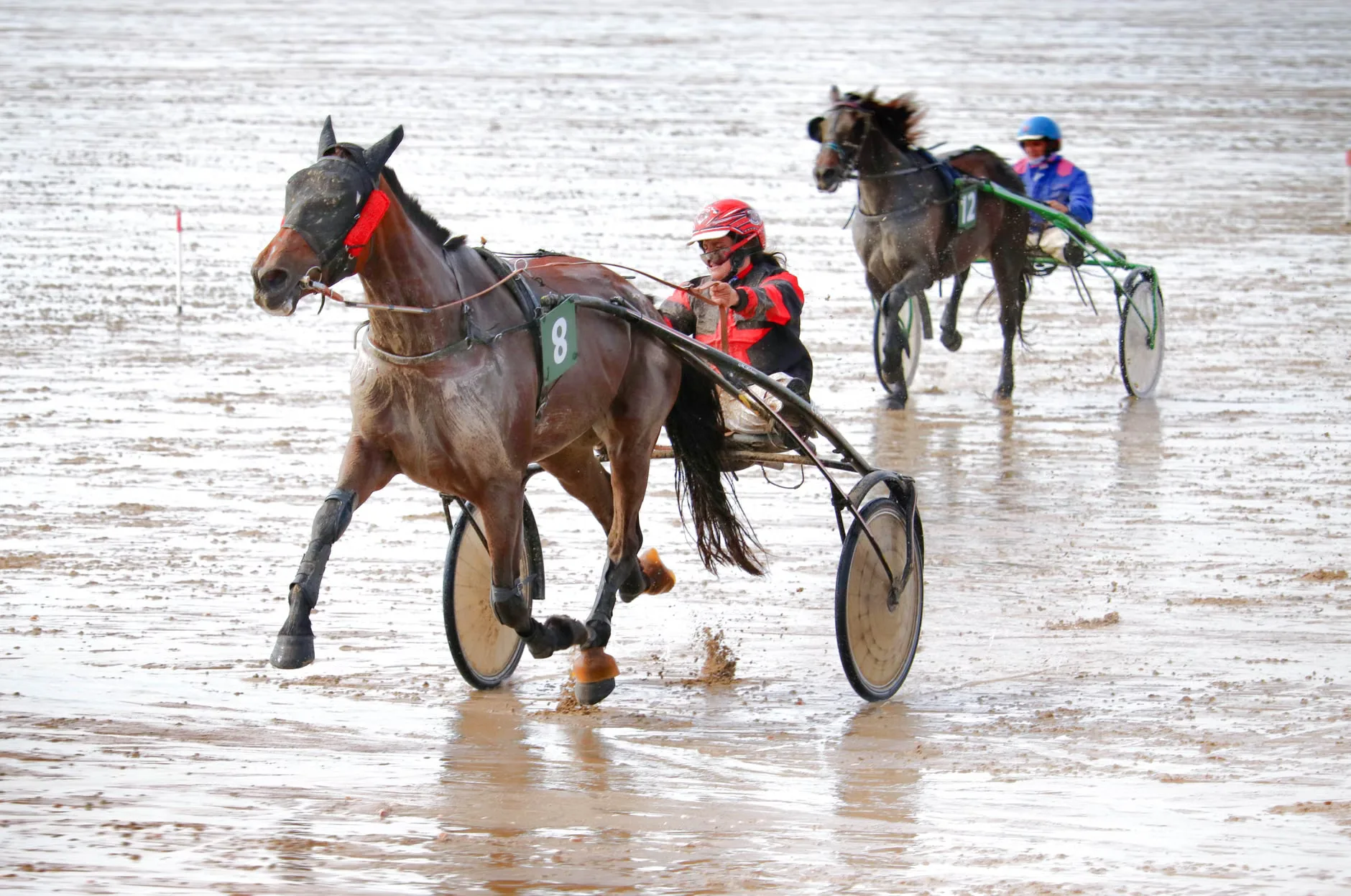 Autumn Afternoon Racing - Bath Racecourse