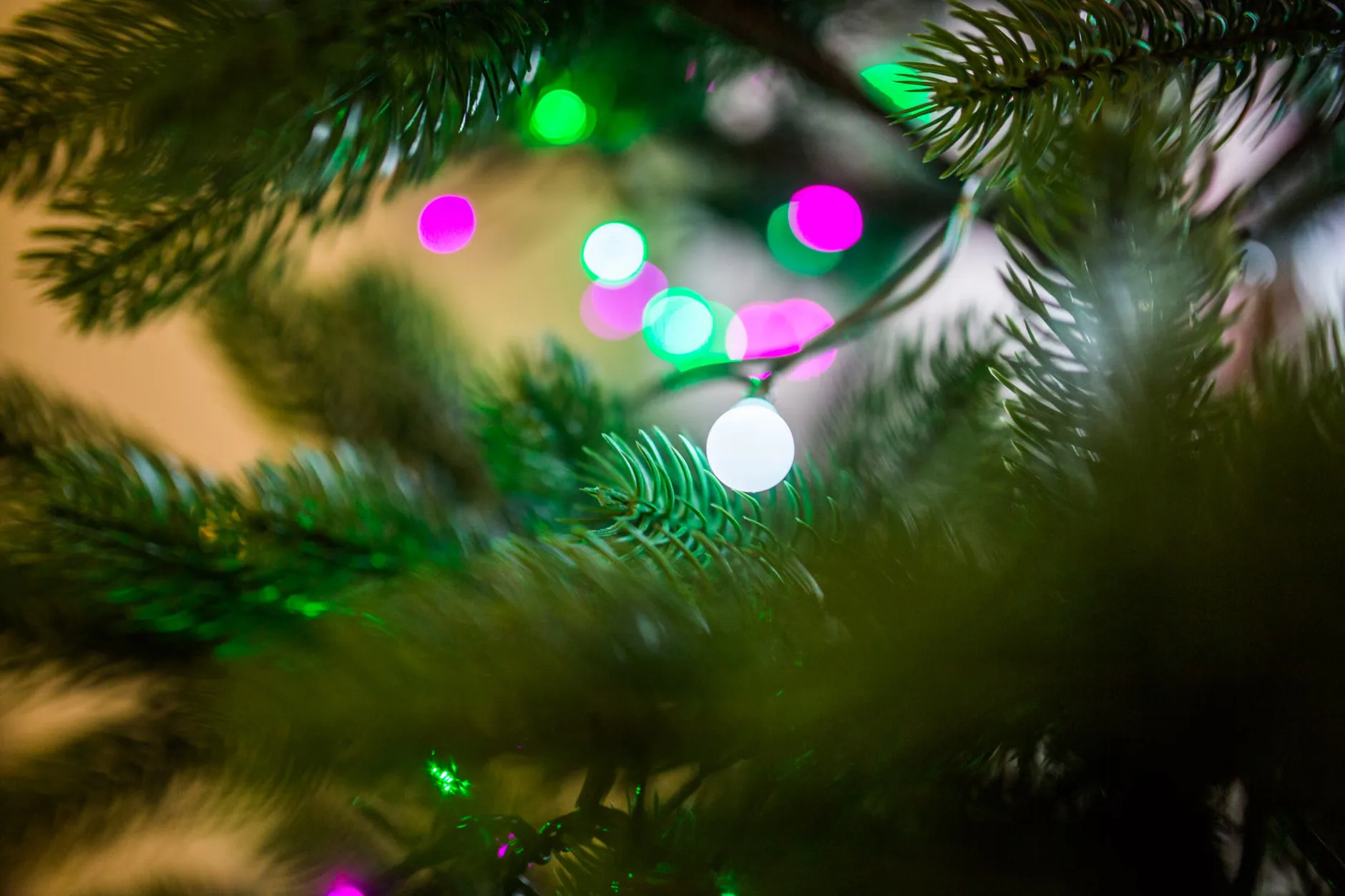 That'll Be The Day Christmas Show at Royal Spa Centre