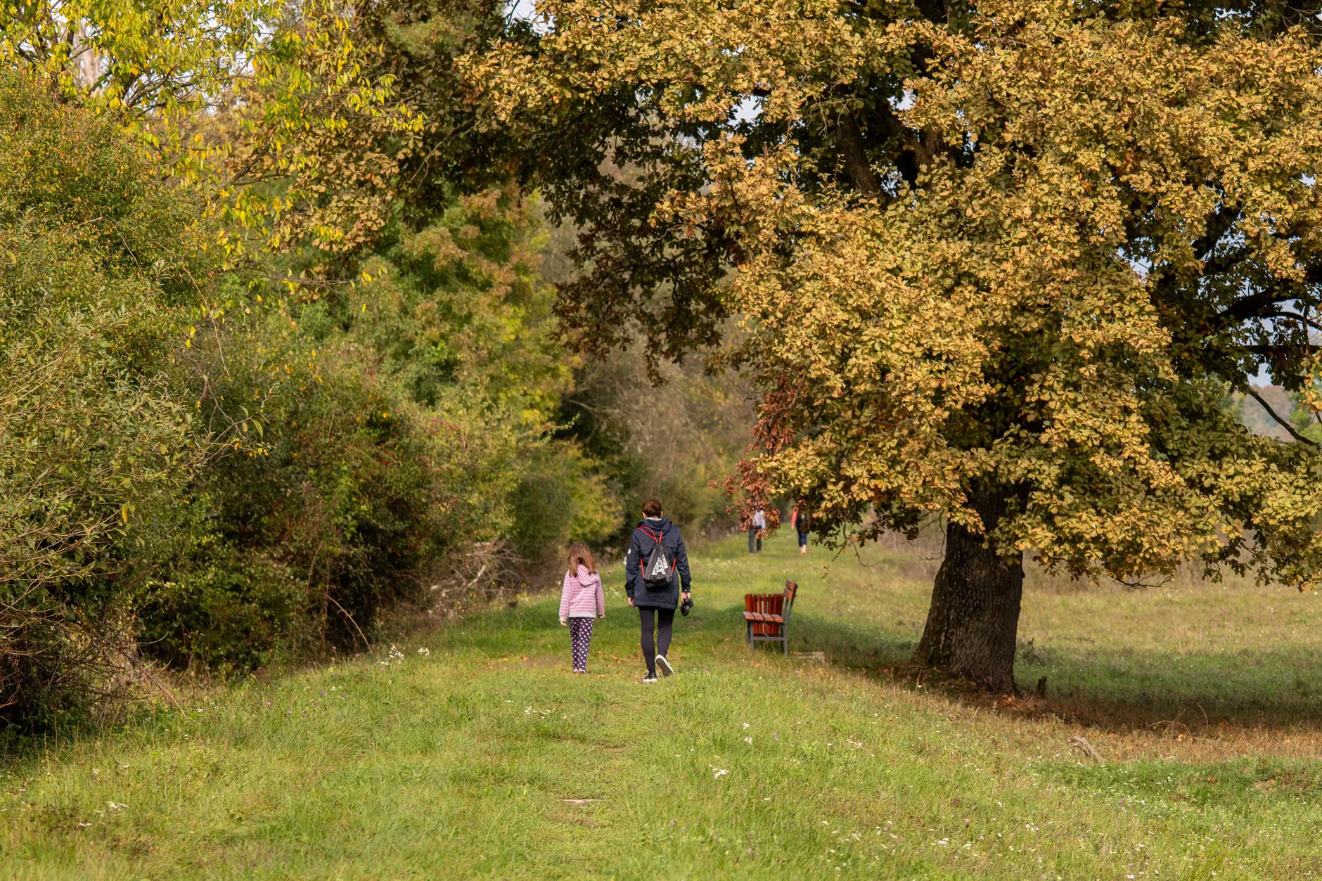 Walk the Line - Wylam and George Stephenson's Birthplace - Aug & Sept 2026 at George Stephenson's Birthplace