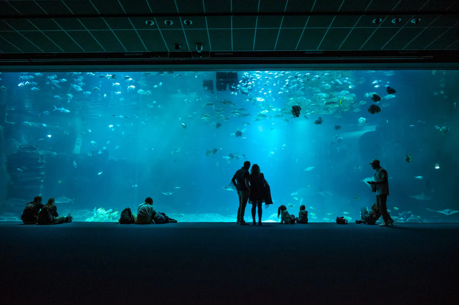 Sea Life Birmingham - Standard Entry