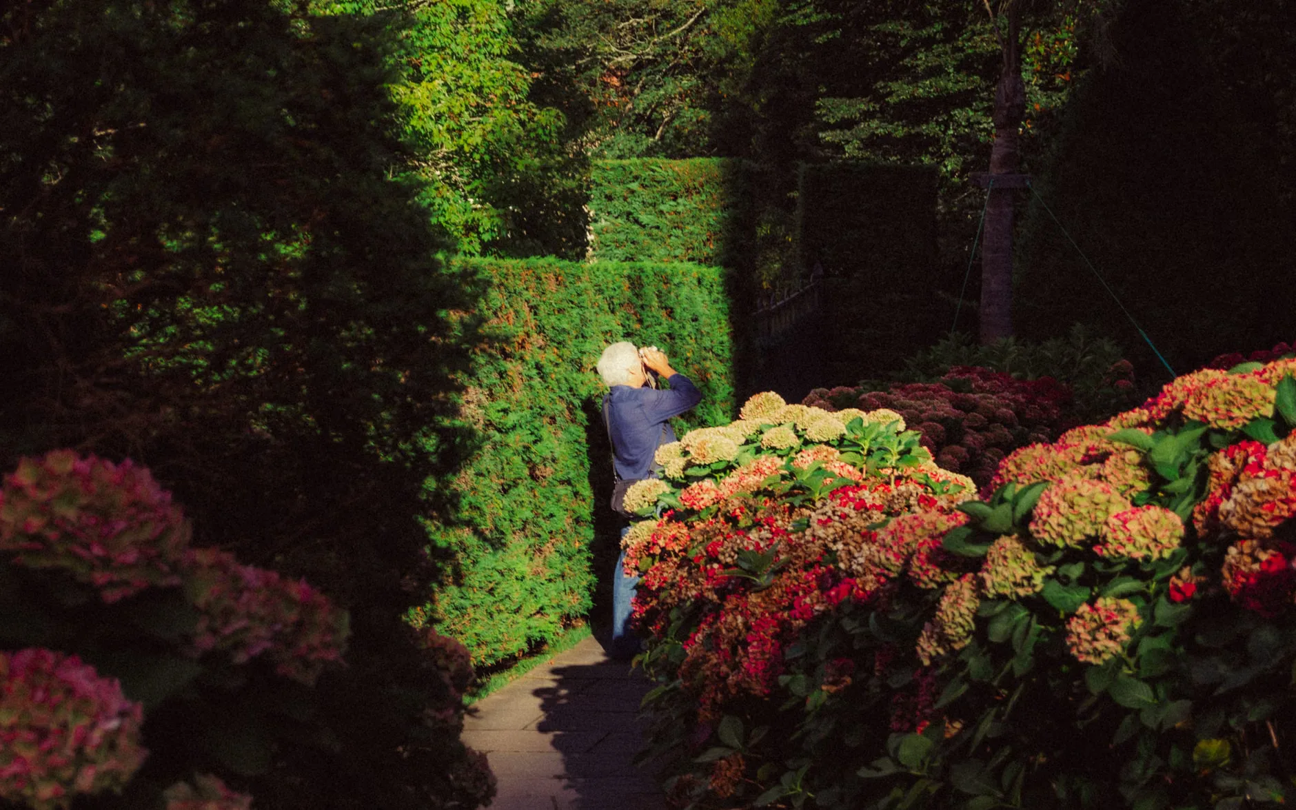 Photography Group at Powis Castle and Garden at Powis Castle and Garden