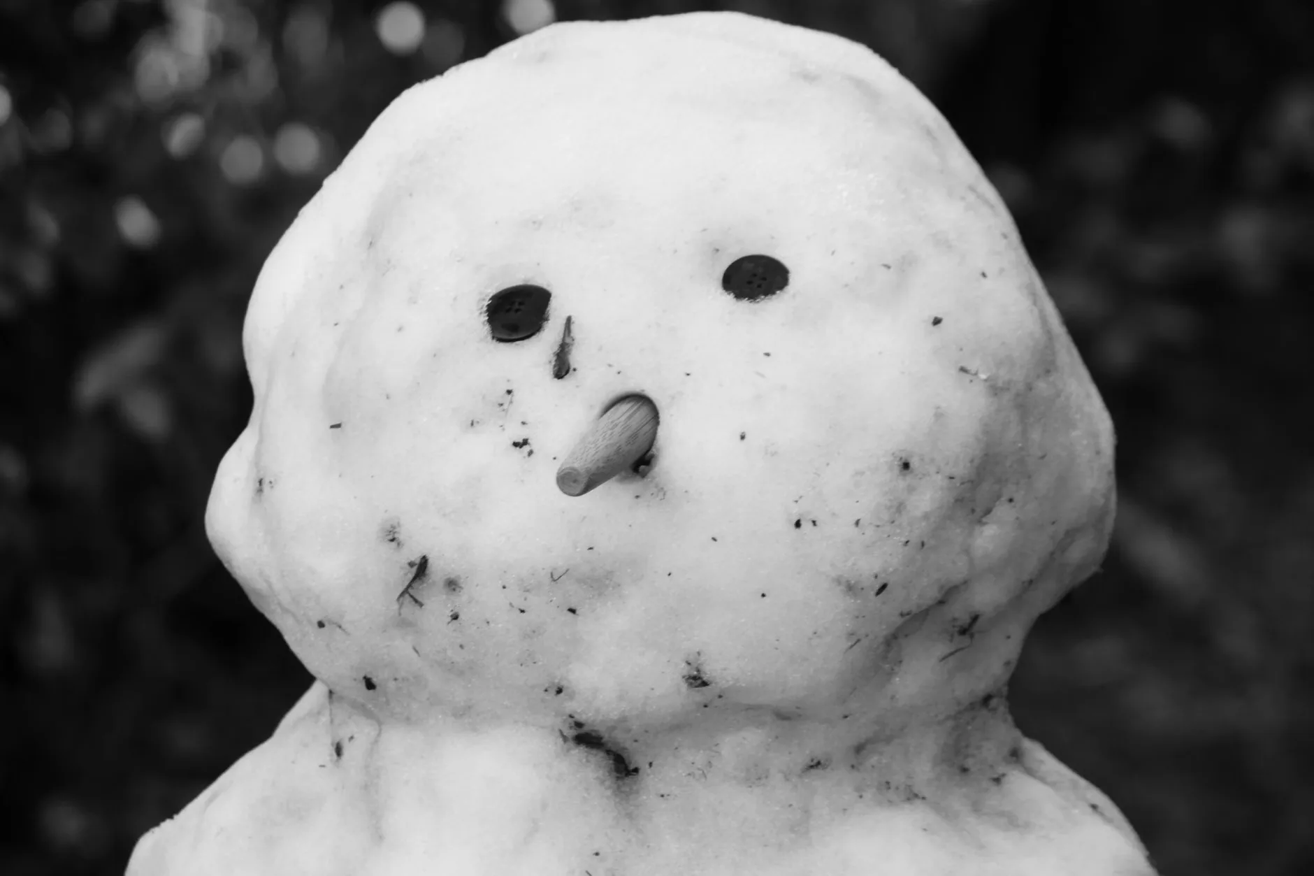 'The Snowman' film with live orchestra (6.30pm) at Chester Cathedral