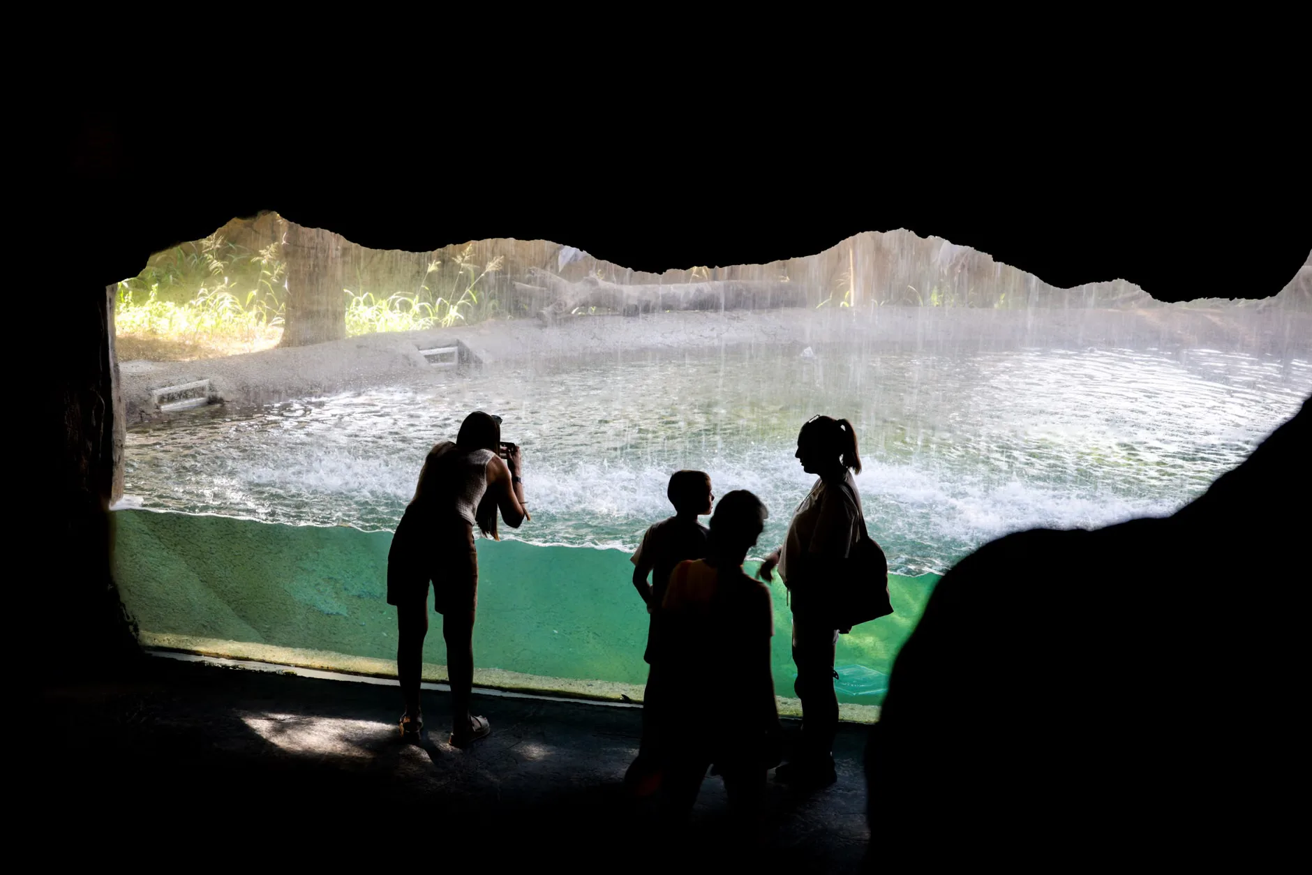 Sea Life London - Standard Entry