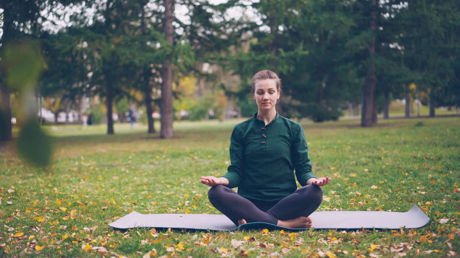 Flourish - The Science of Positive Psychology at Yogalina Bridge Street