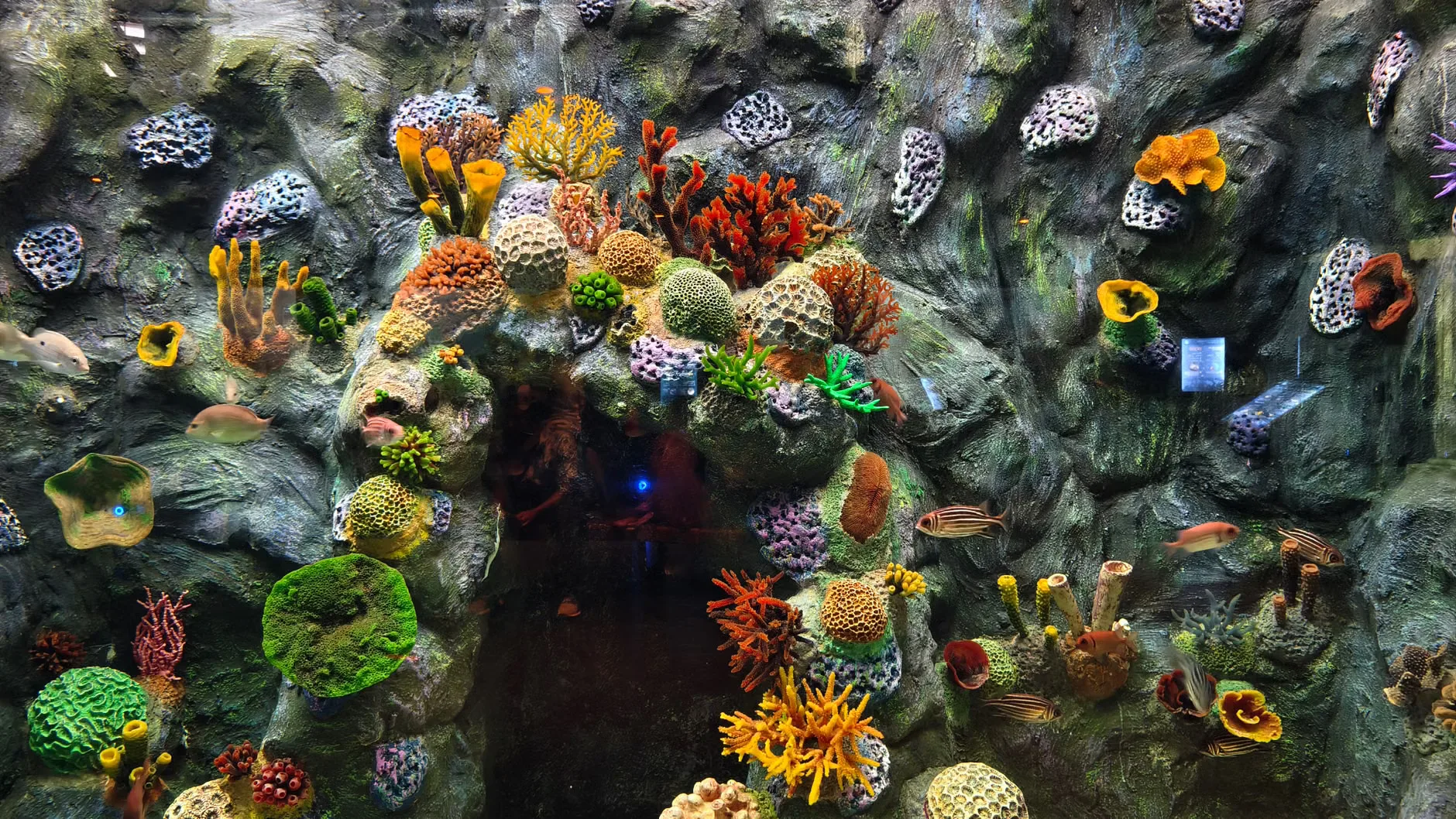 Sea Life London - Standard Entry