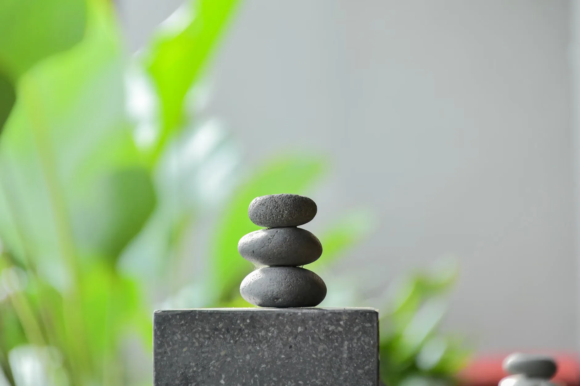 Open Silent Meditation at The Salisbury Centre