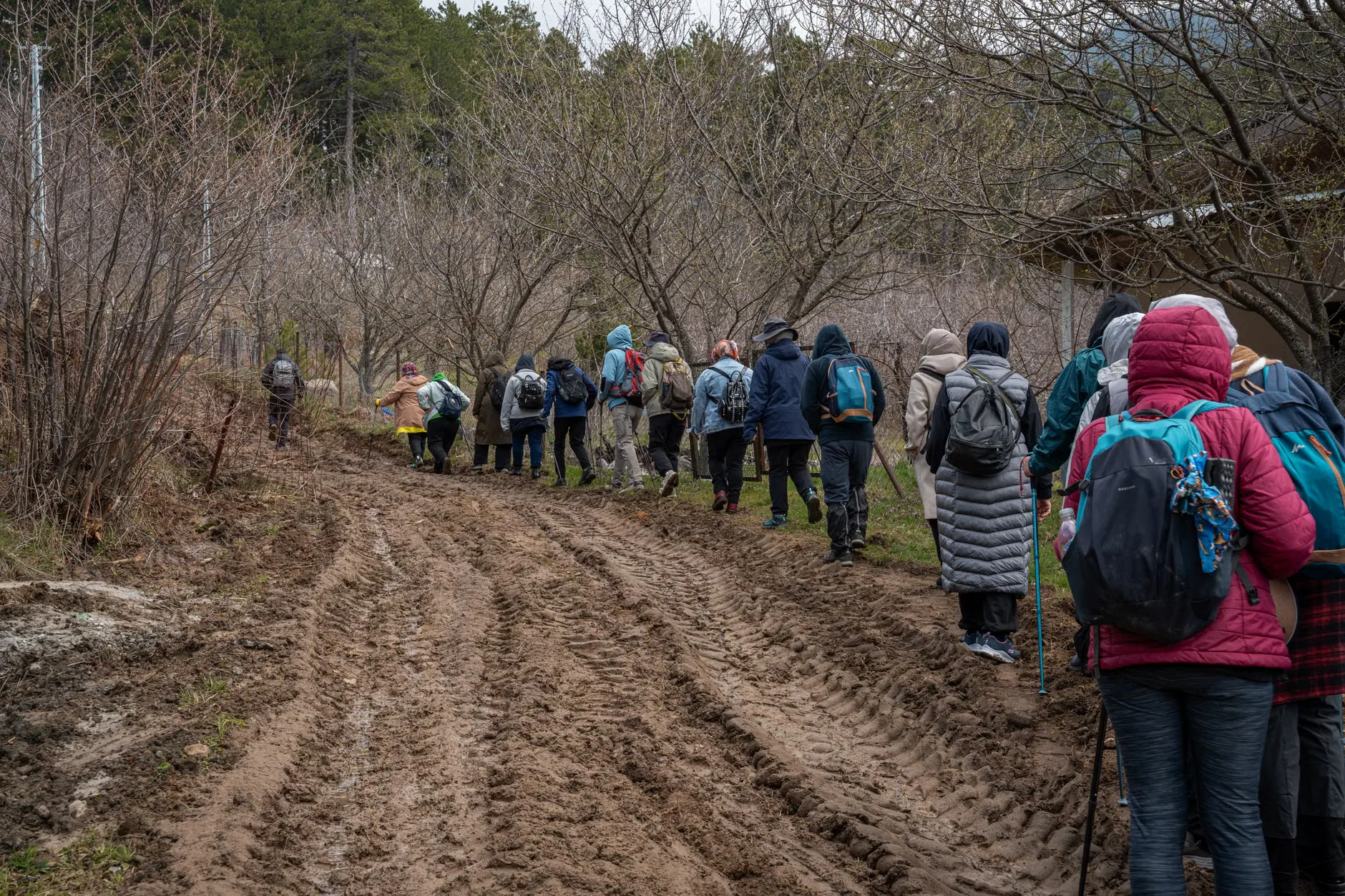 Stepping into Parkinson’s and nature: walking programme at Kingston Lacy