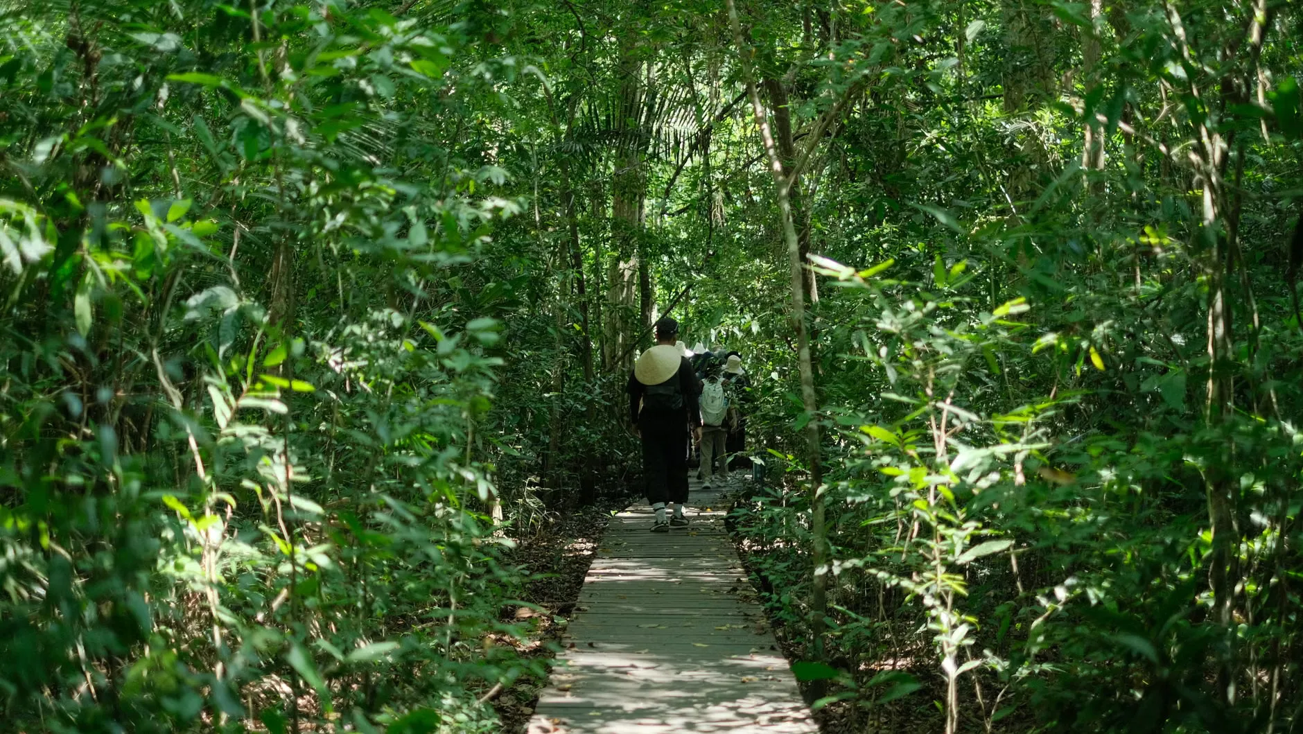 Waterways Nature Connection Programme at Hirst Wood