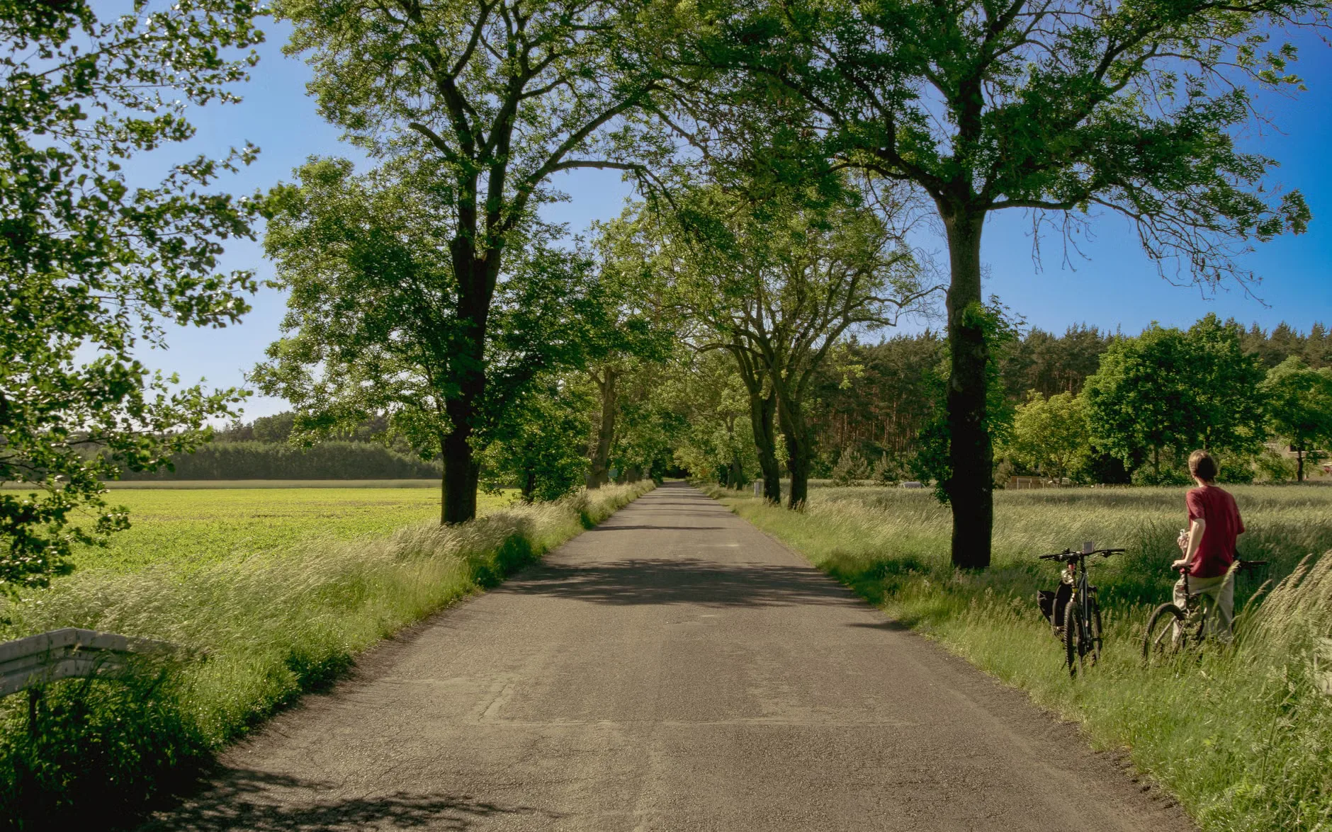 RIDE: St Francis Sportive