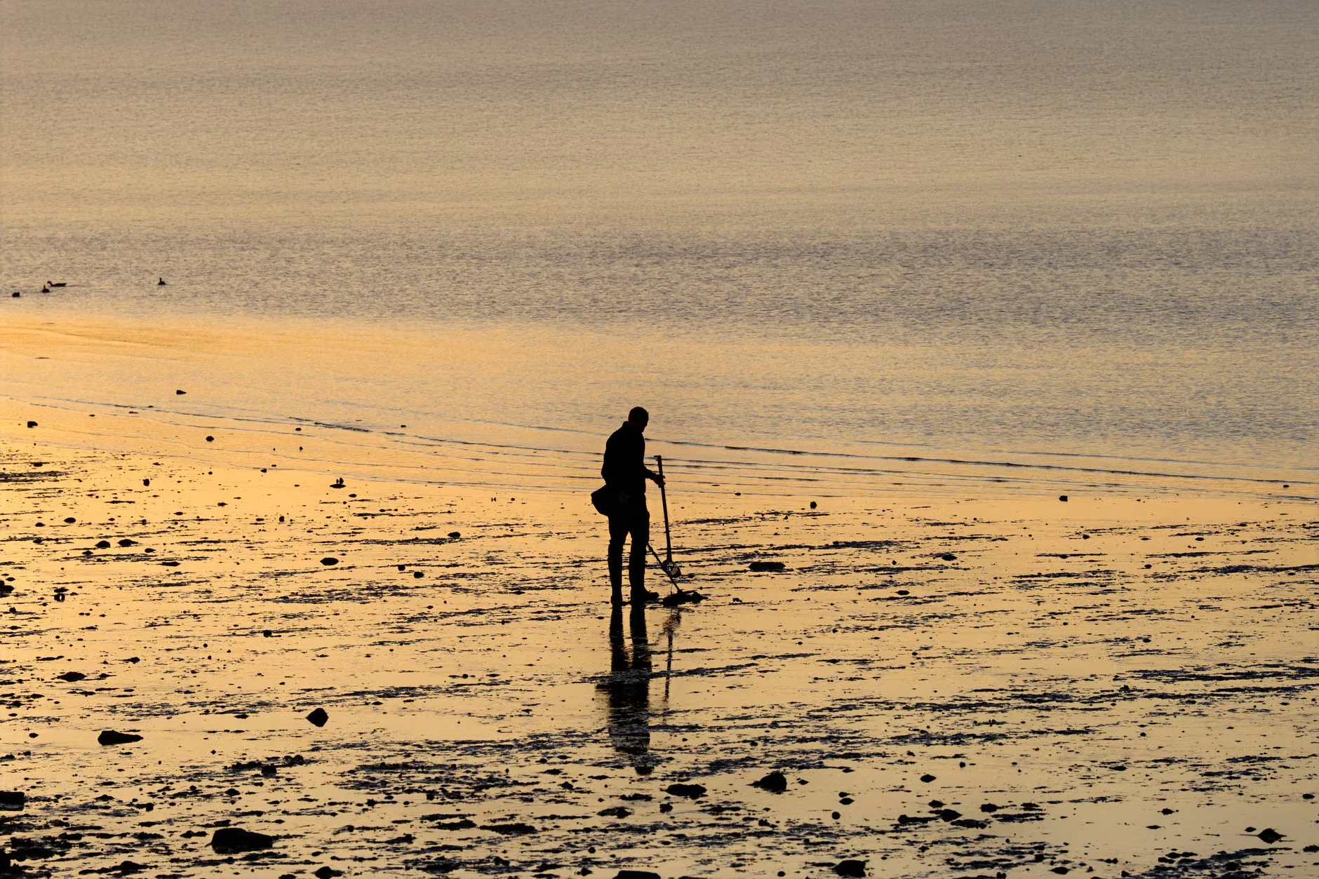 Moonless Treasure Hunt