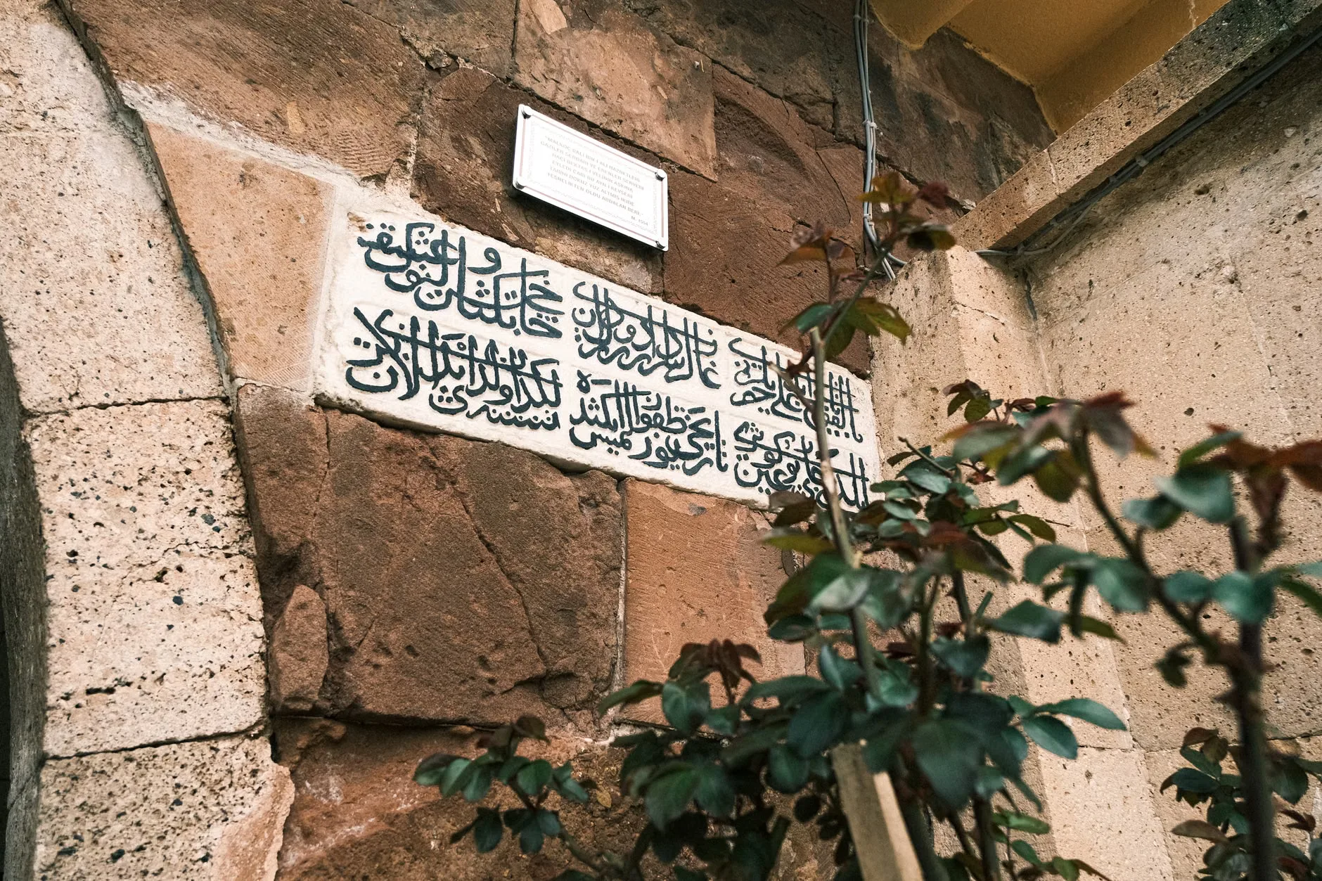 Medical Heritage Tour
